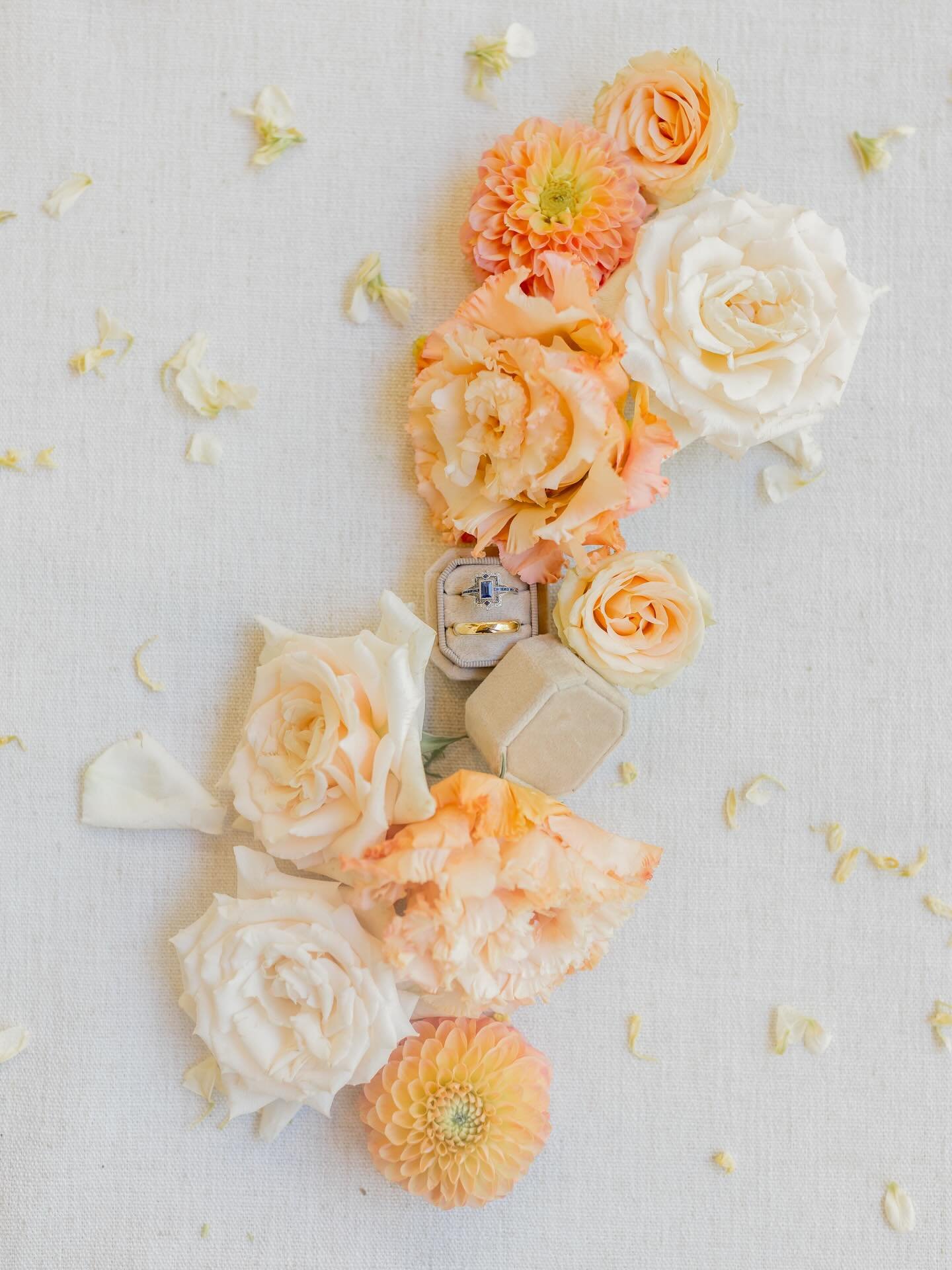 Heirlooms + blooms ✨