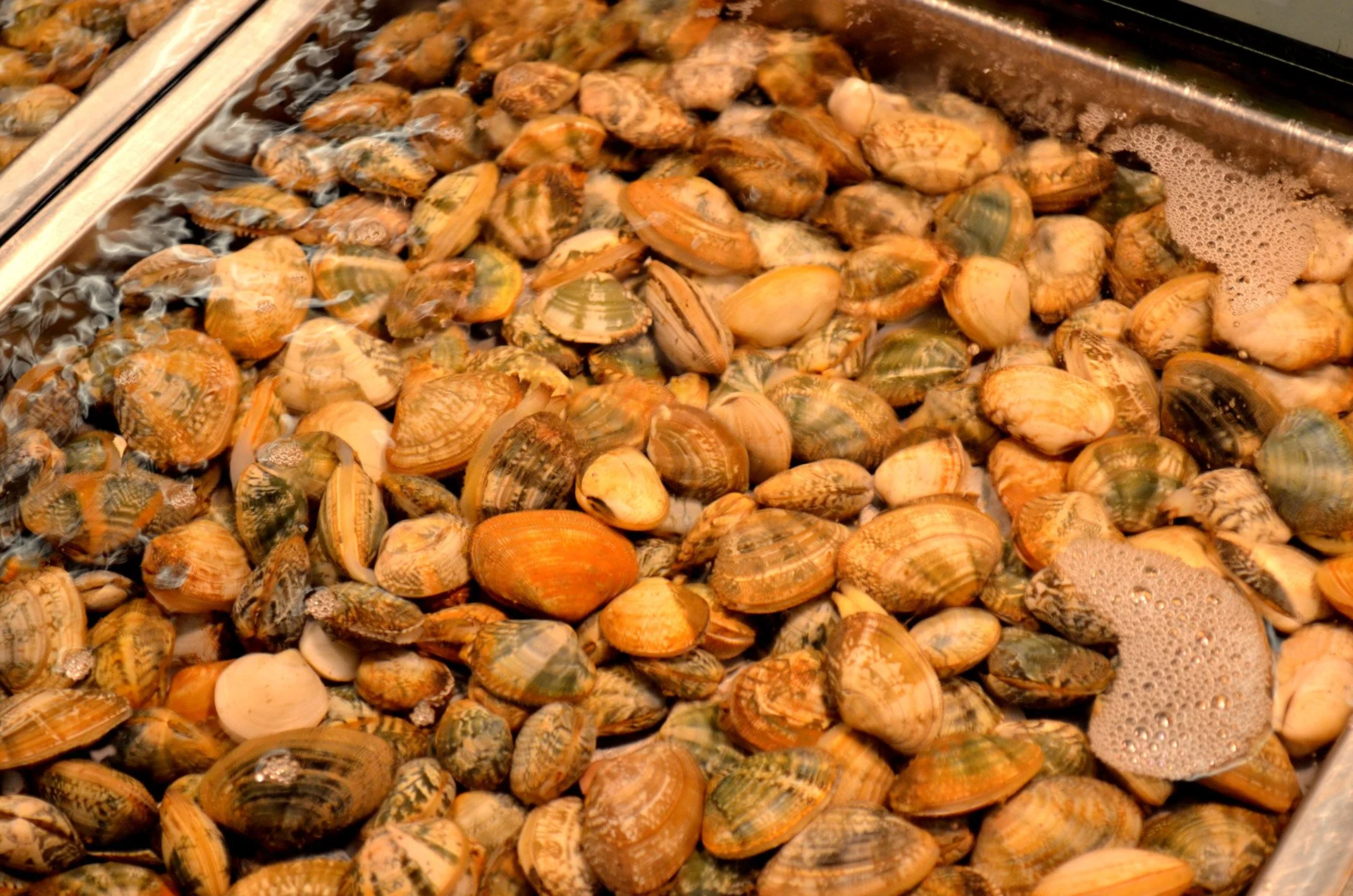 Public Health & Environment