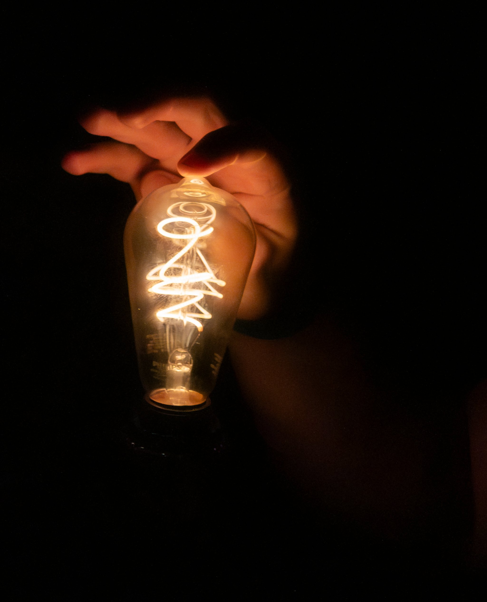 NoCo Fest_2025_HM-49303.JPG