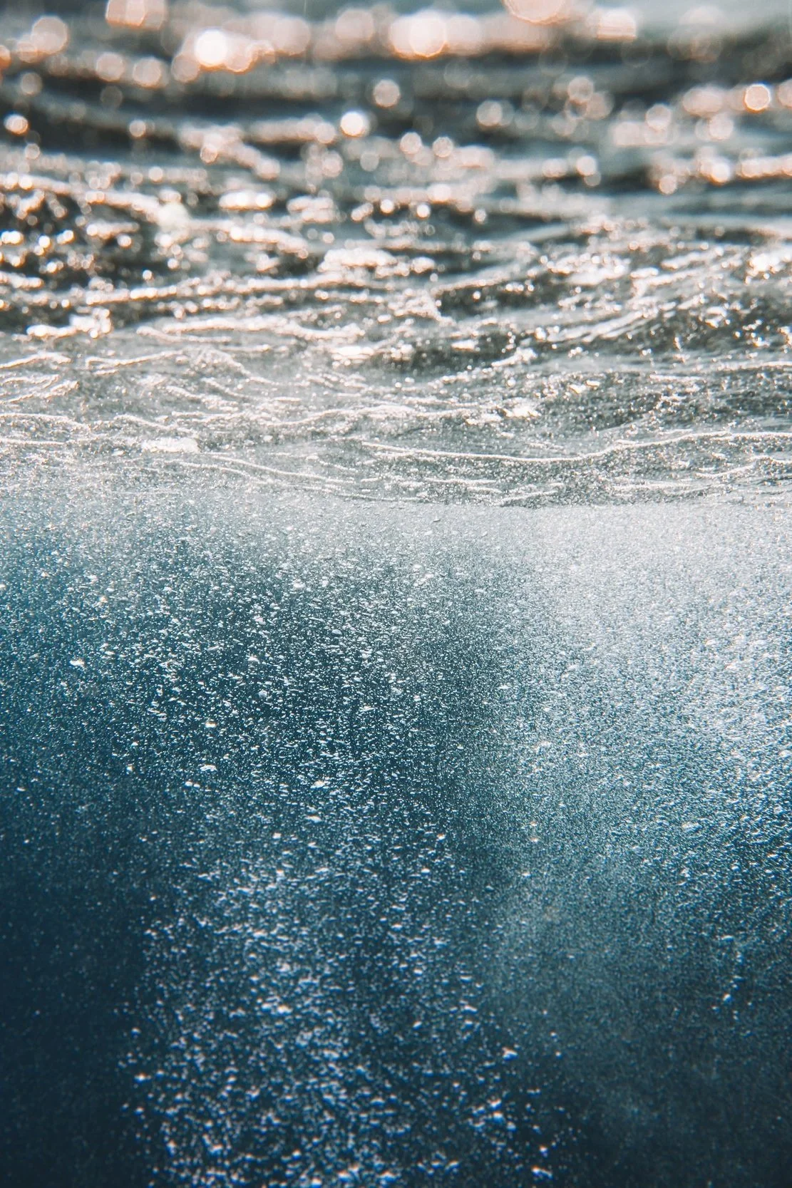 Why Do Money Managers Fail?