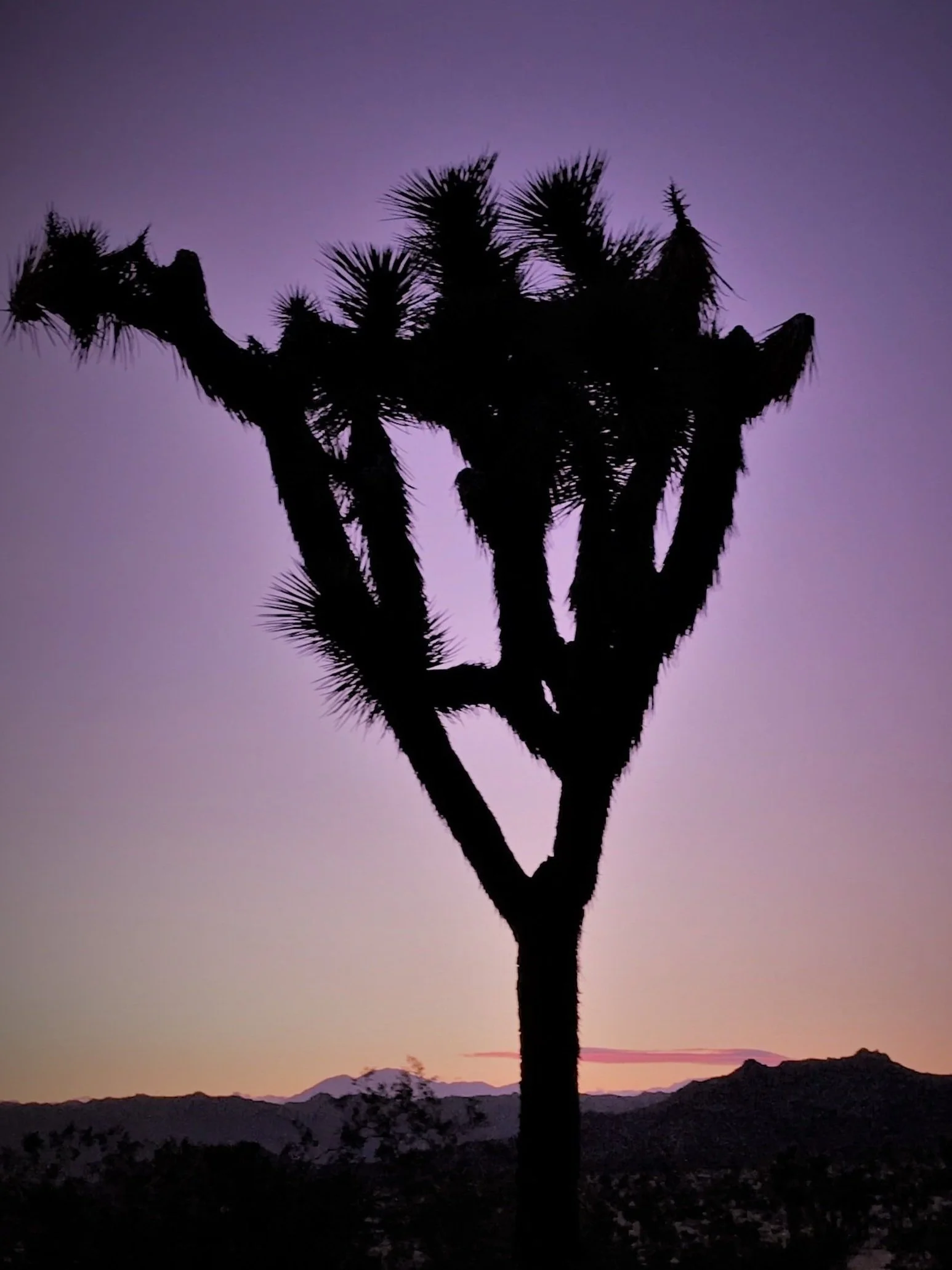 Job van der Voort, the CEO &amp; Co-Founder of Remote