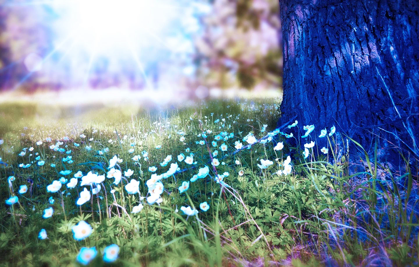 EXPLORE YOUR WORLD!