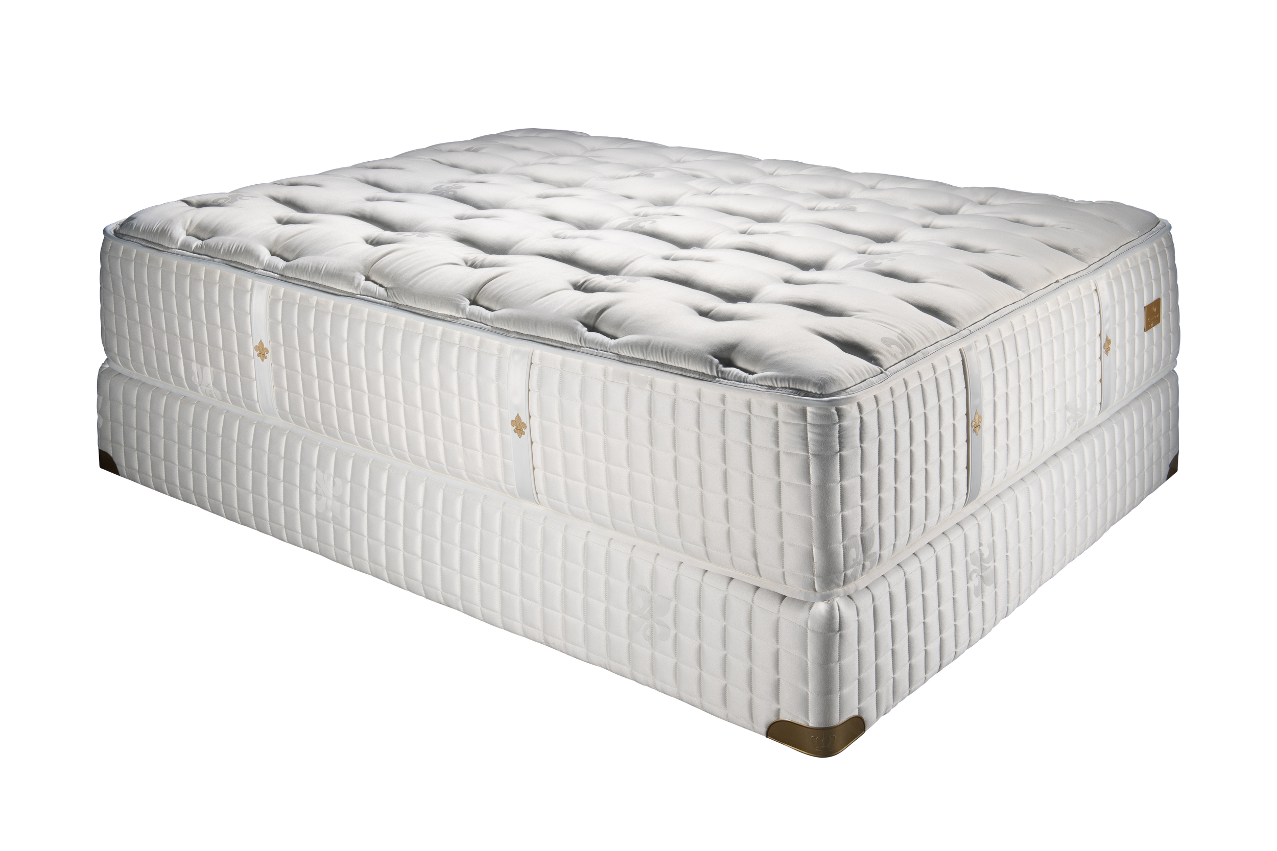 Fleur De Lis Firm 2.png