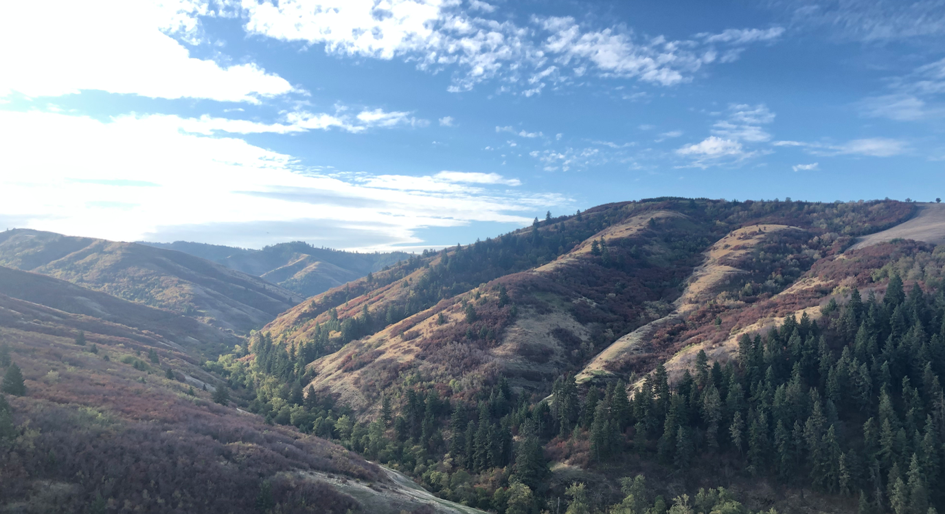Flume Canyon Vista
