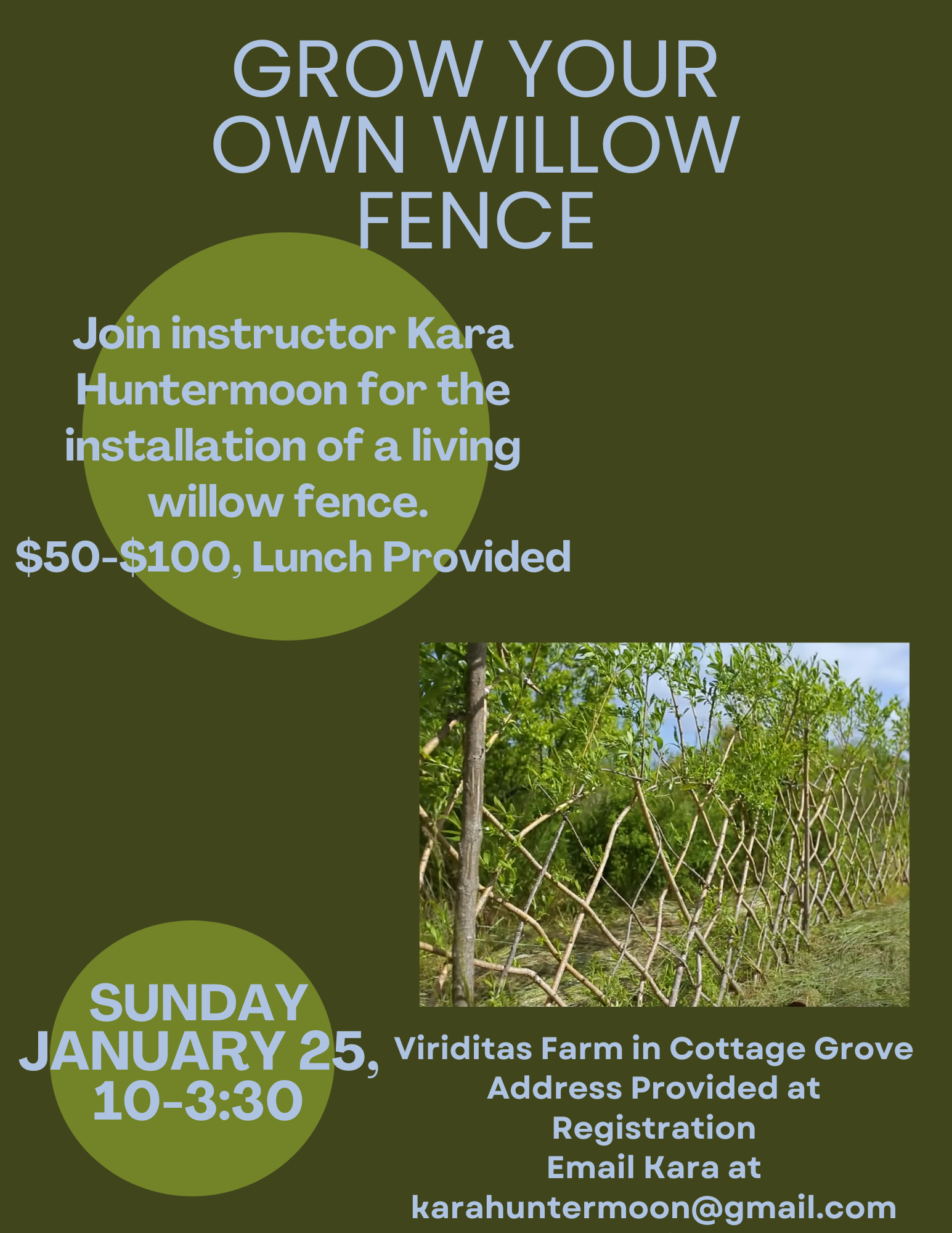 Grow Your Own Willow Fence