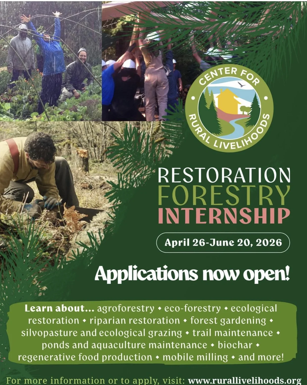 Restoration Forestry Internship