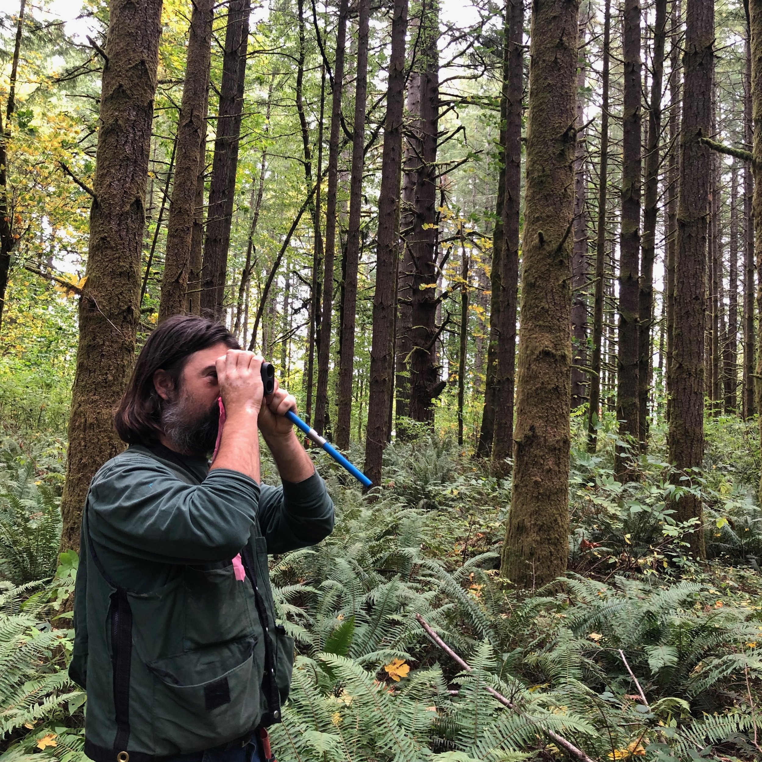 Future Fundamentals Free Workshop Series: FOREST FARMING
