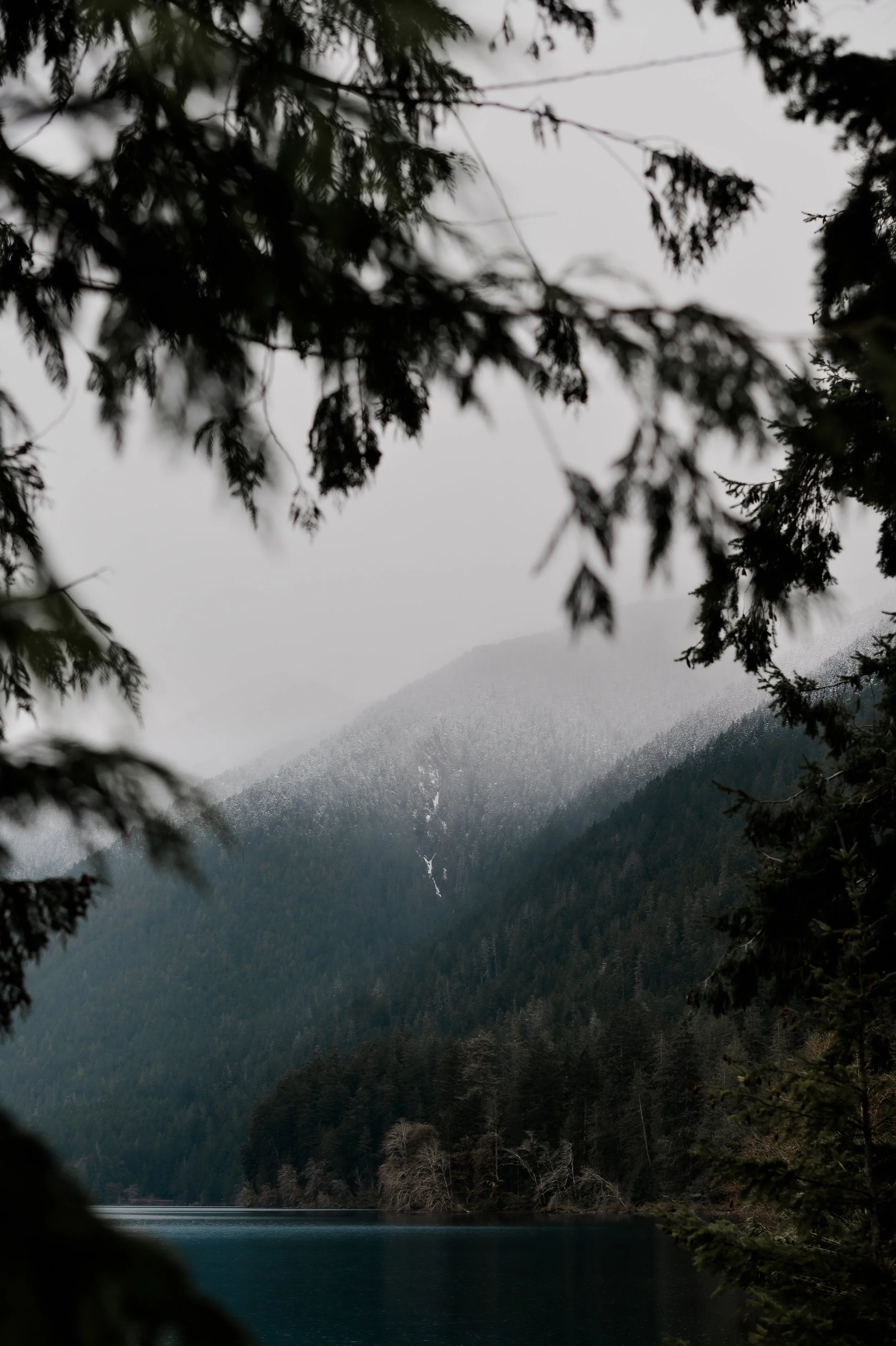 LANDSCAPES - GALLERY