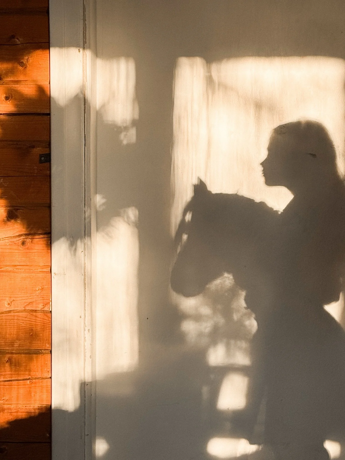 Joulukuu ~ ja sen kaunein valo. 
.
T&auml;&auml;ll&auml; hirsipirtin suojissa joulu vaan on jo l&auml;sn&auml;. Sit&auml; ei tarvi luoda, ei rakentaa. Riitt&auml;&auml; t&auml;hti ikkunalla, kynttil&auml;t ja havut p&ouml;yd&auml;ll&auml;. 
.
T&auml;