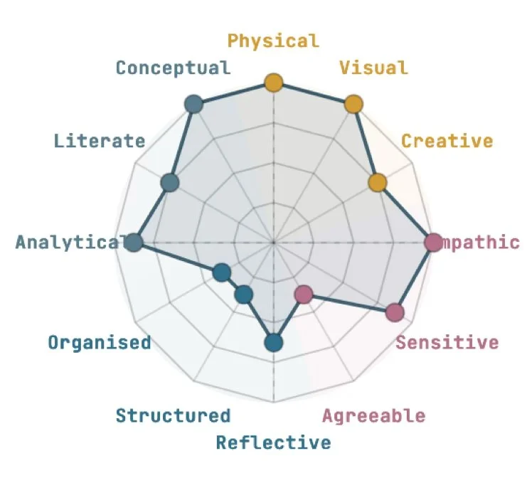 Neurodiversity at work: The Neuro Spiky profile for team success