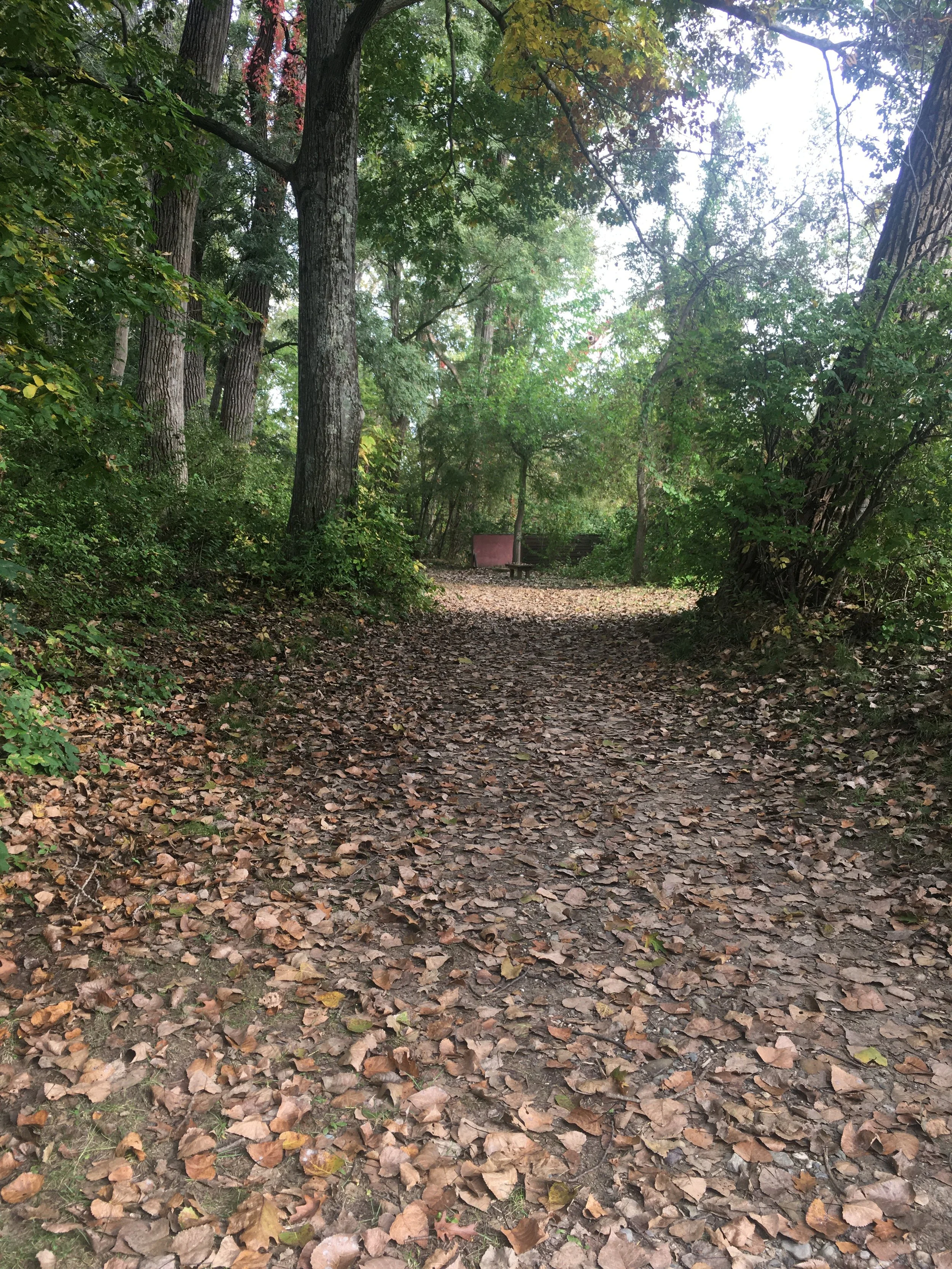 View of Play Garden ship
