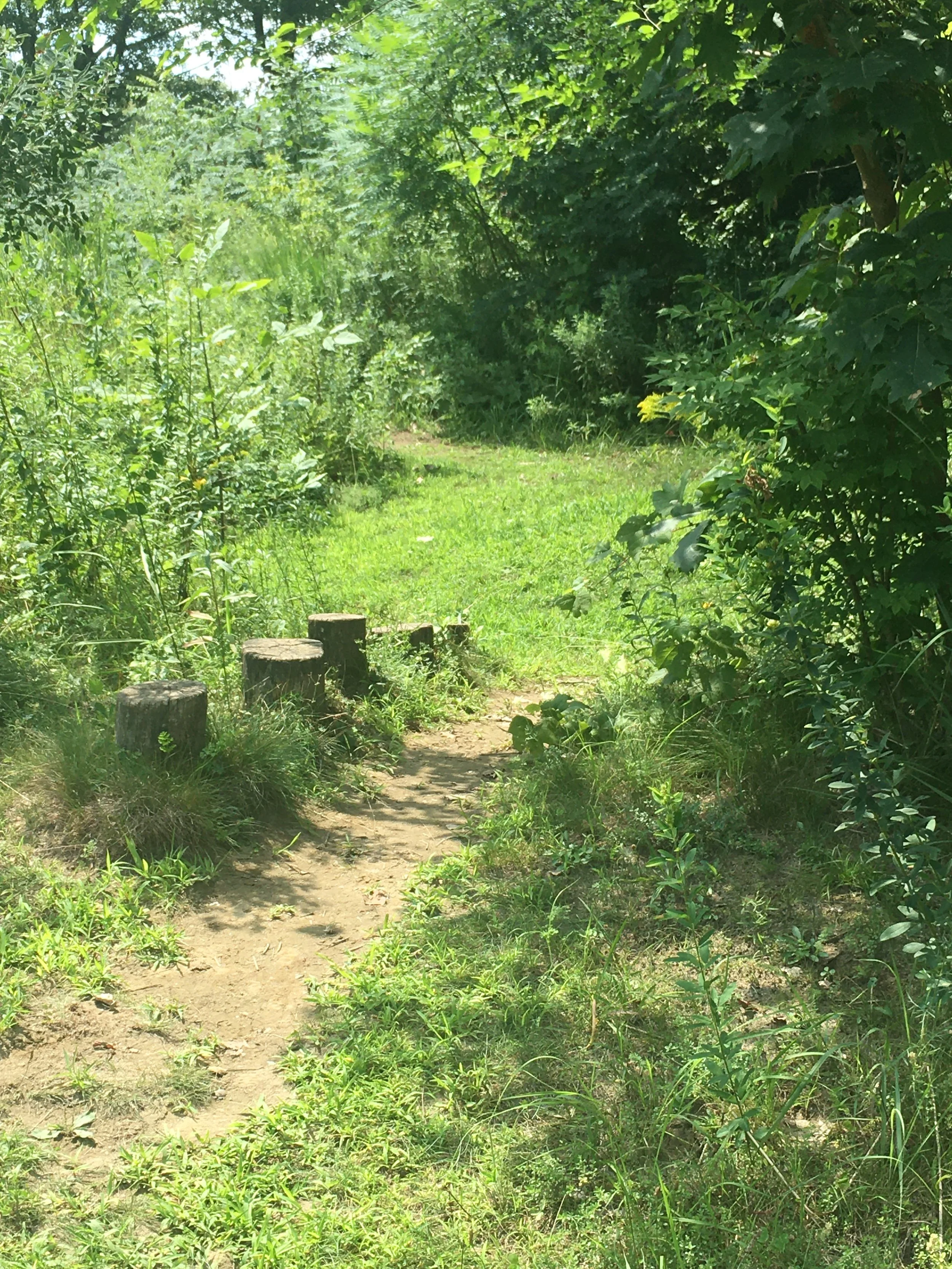 Path in the Play Garden