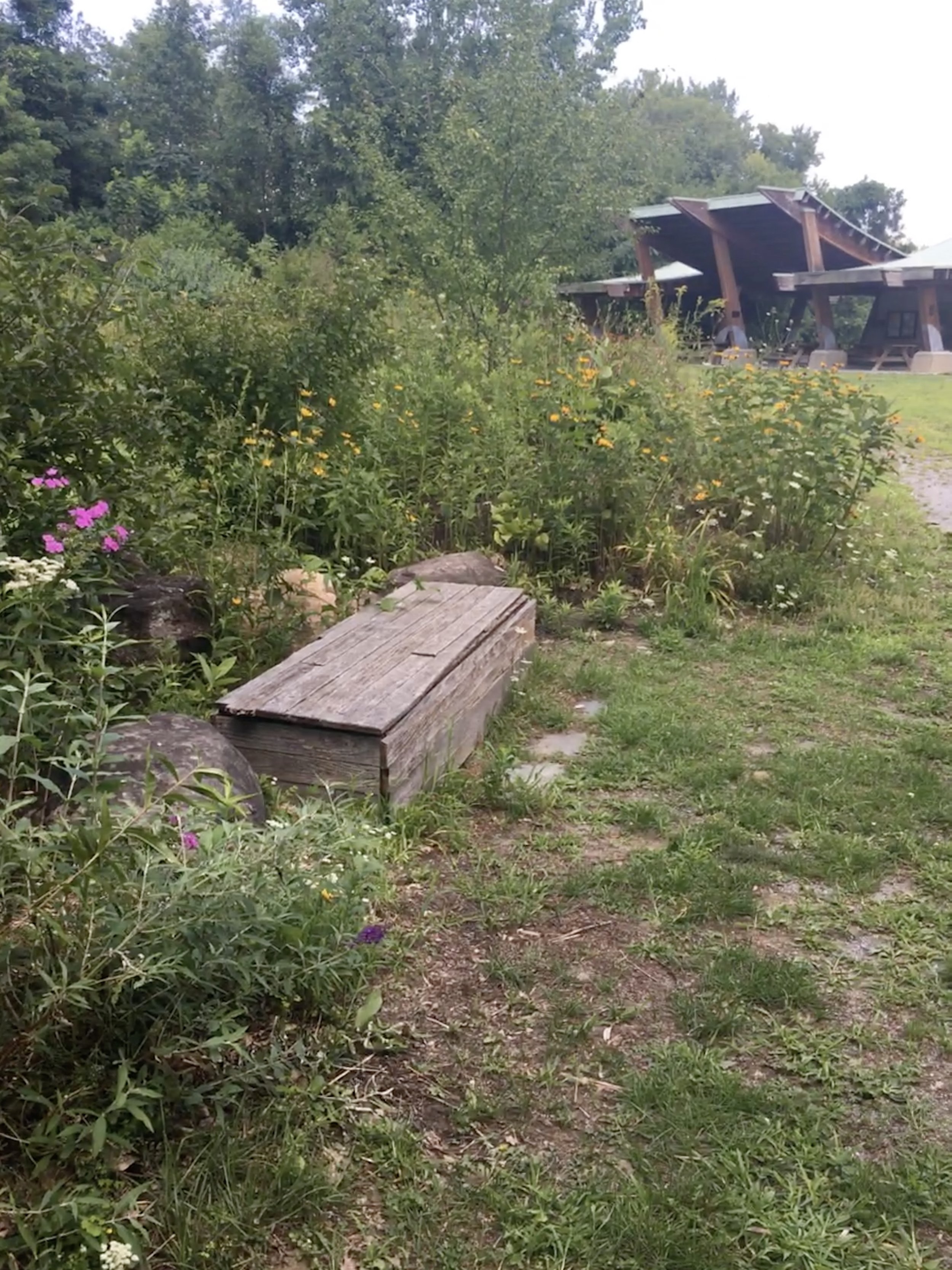 View of the Play Garden