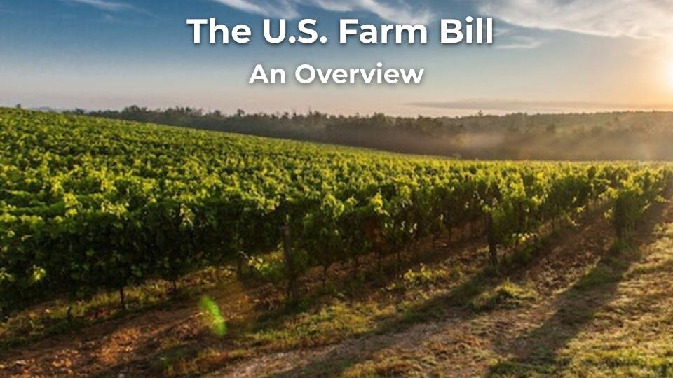 RA_Agroforestry _ U.S. Farm Bill Slides for 072023.pptx (18).jpg