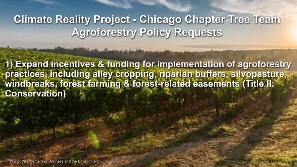 RA_Agroforestry _ U.S. Farm Bill Slides for 072023.pptx (28).jpg