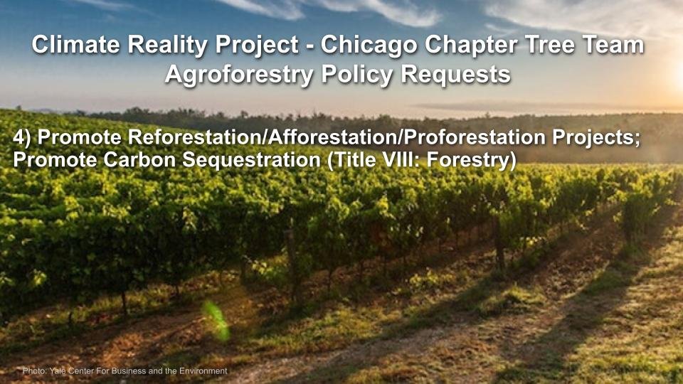 RA_Agroforestry _ U.S. Farm Bill Slides for 072023.pptx (31).jpg