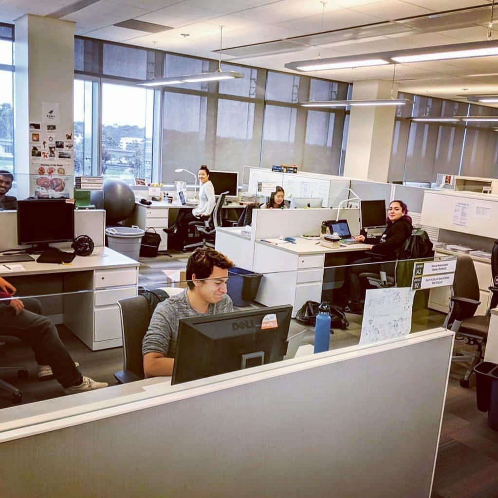 Some days I miss working in the office and seeing all these bright and enthusiastic undergraduate faces (instead of my cats). Glad we are at least back in the classrooms!