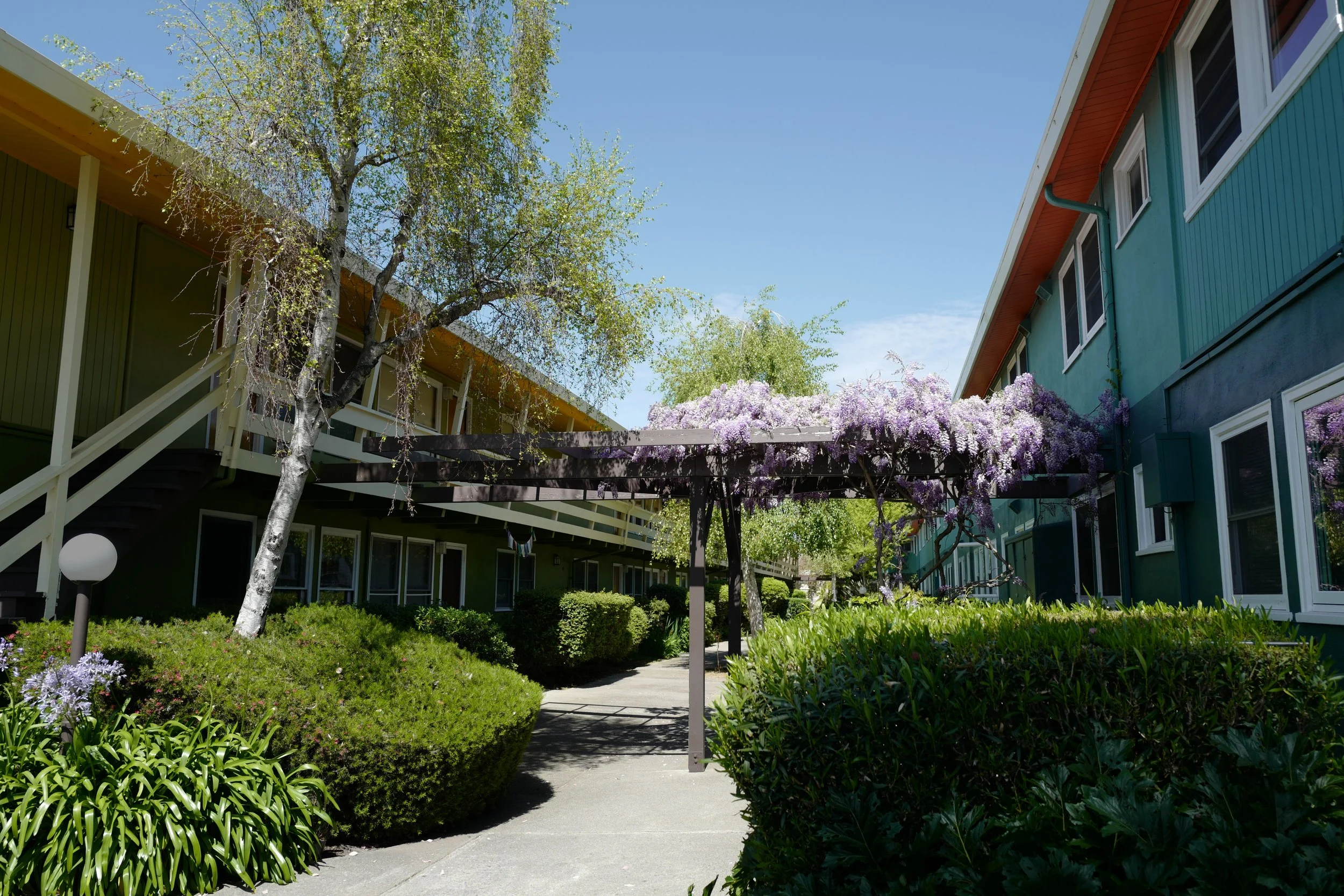 Hopkins Park Apartments, Berkeley