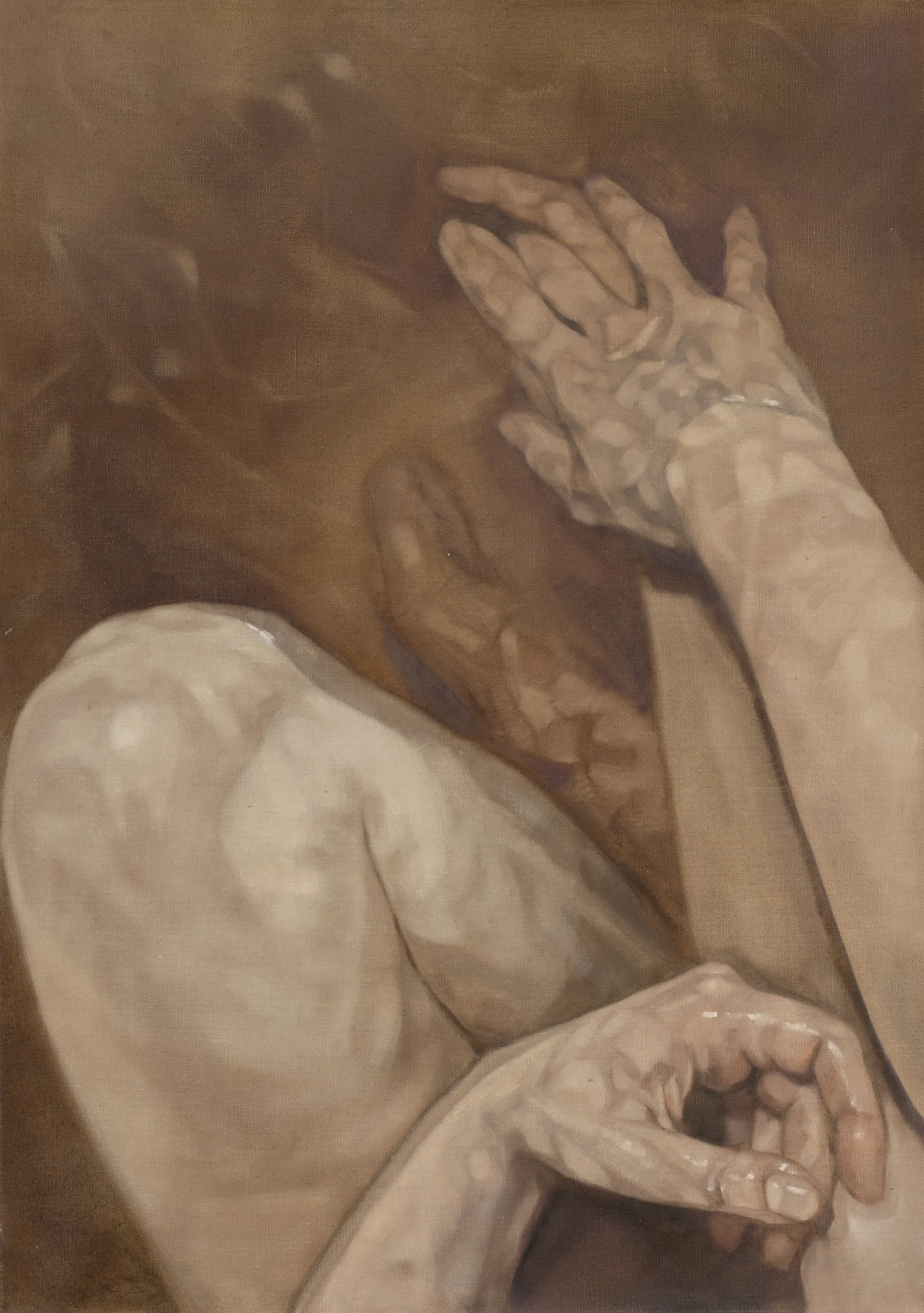 Wade Immerse 2026 Oil on Linen 70x50cm Clare Thackway