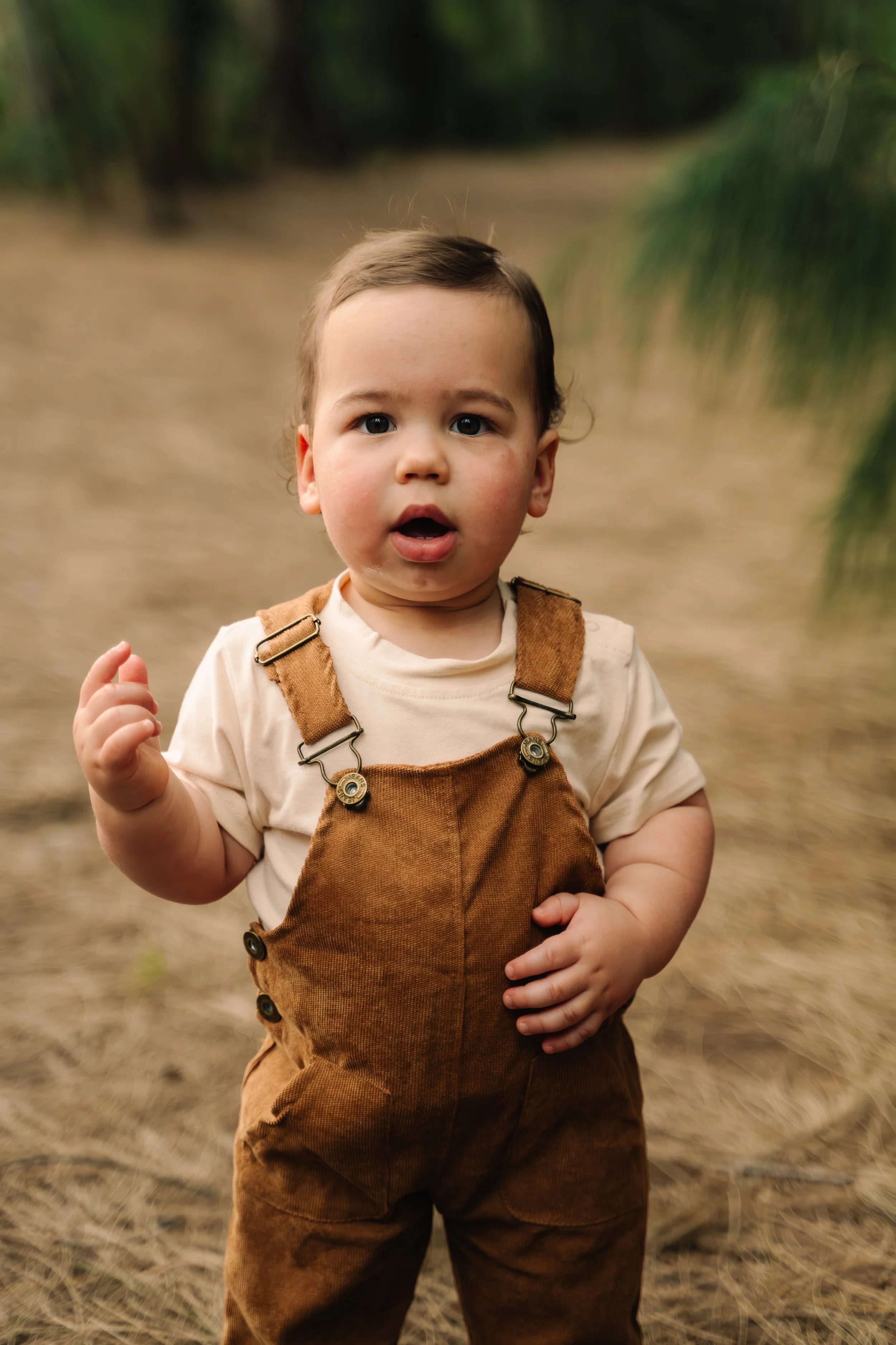 Close-up outdoor portrait of a toddler in brown overalls at Markham Park. Soft natural-light children’s photography by Stephen Luttinger Photography.
