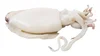 Cuttlefish (Sepia officinalis Sepia pharaonic) — Phoenix Seafoods