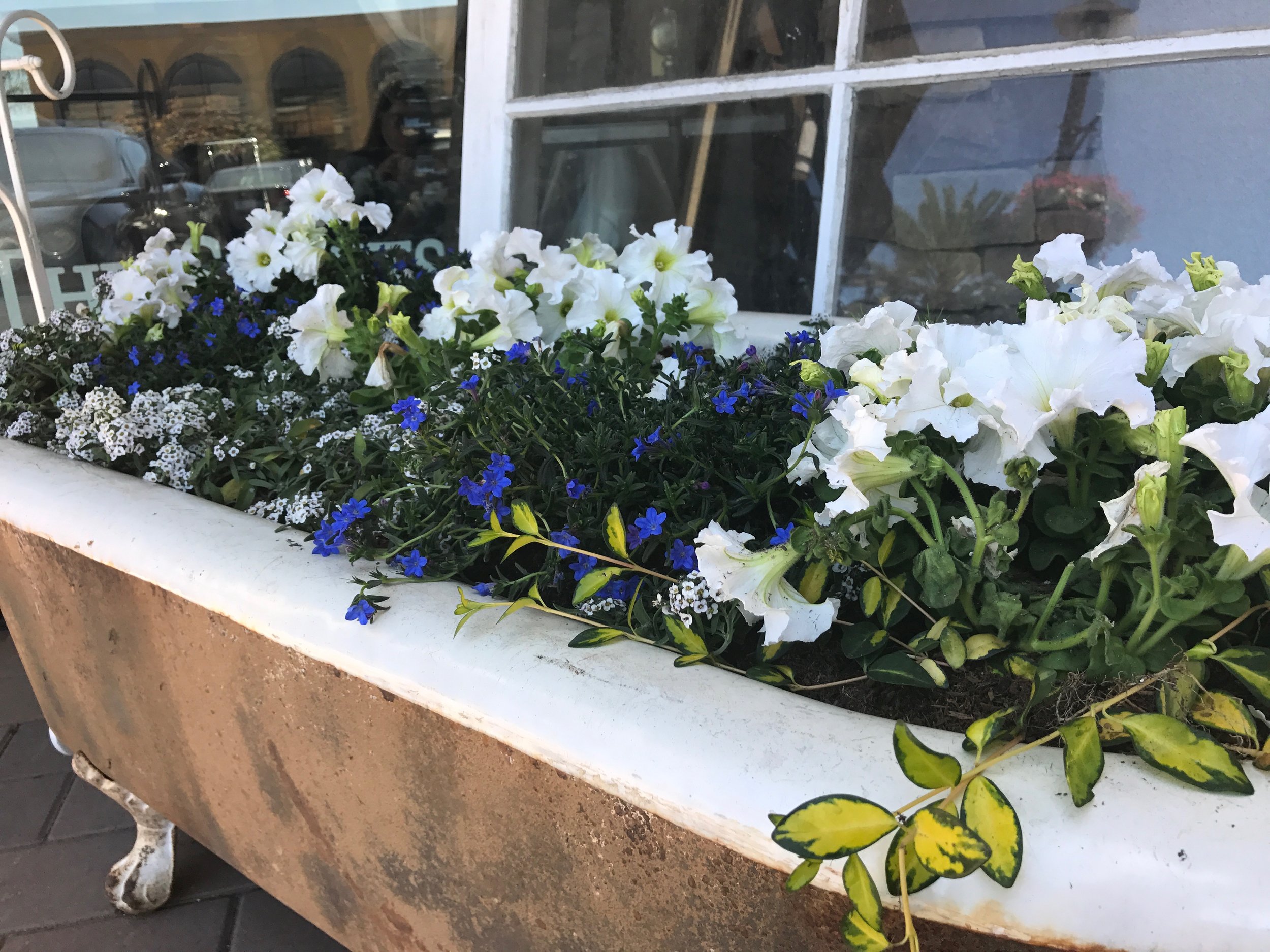 2017 FH inBloom Bathtub Display-2