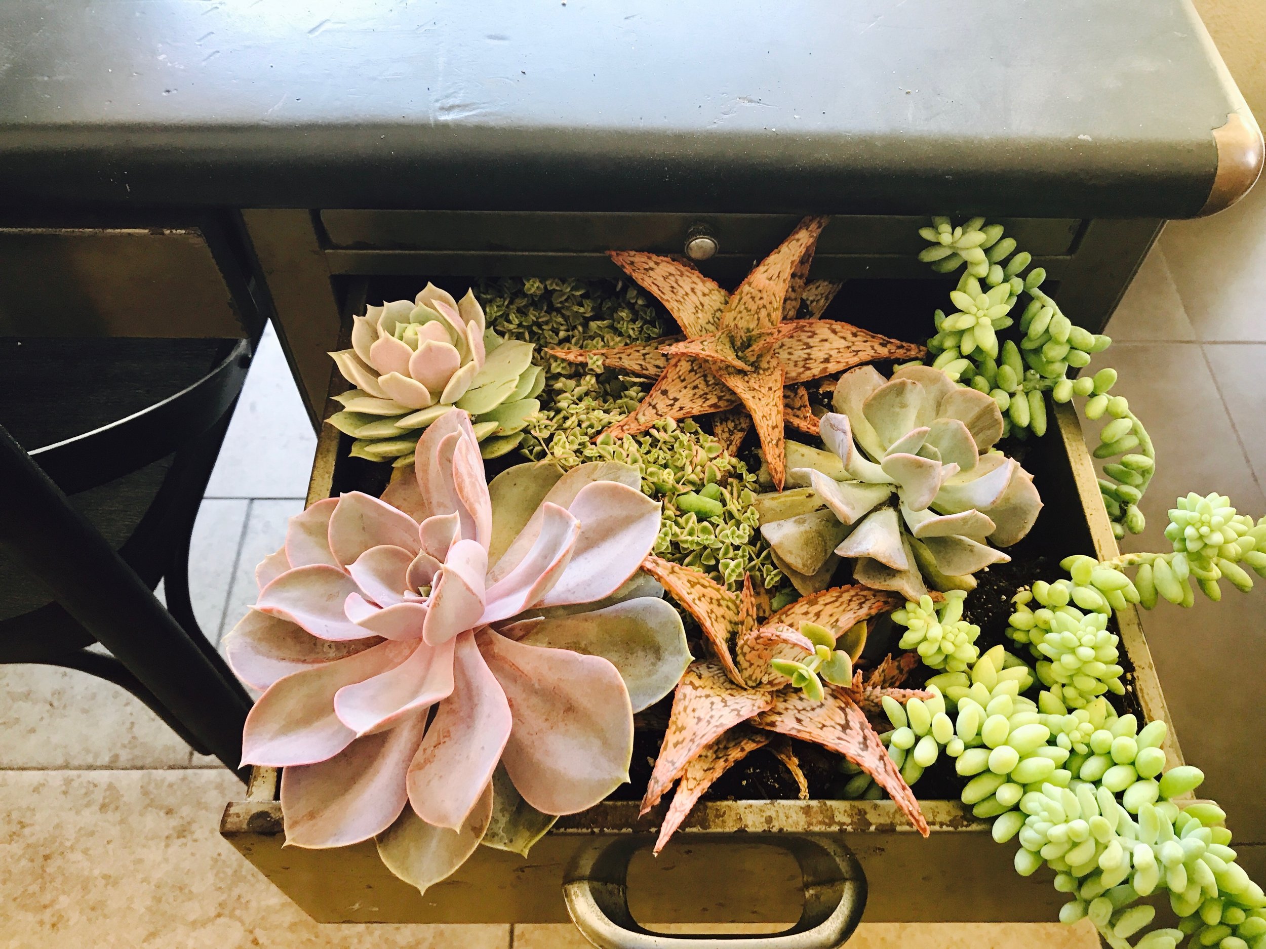 2017 FH inBloom Desk Display-2