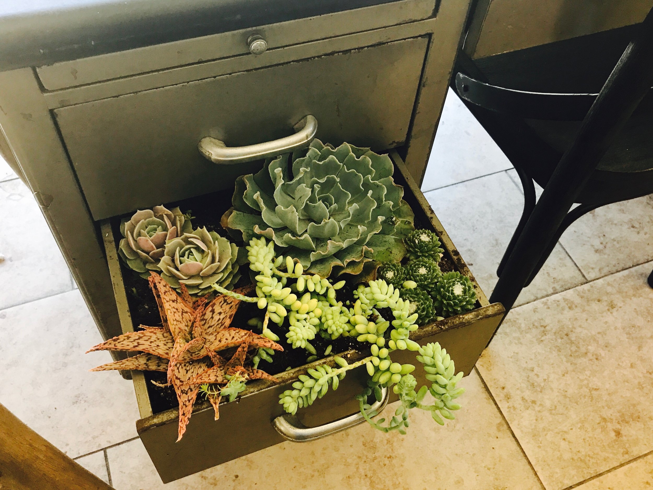 2017 FH inBloom Desk Display-3