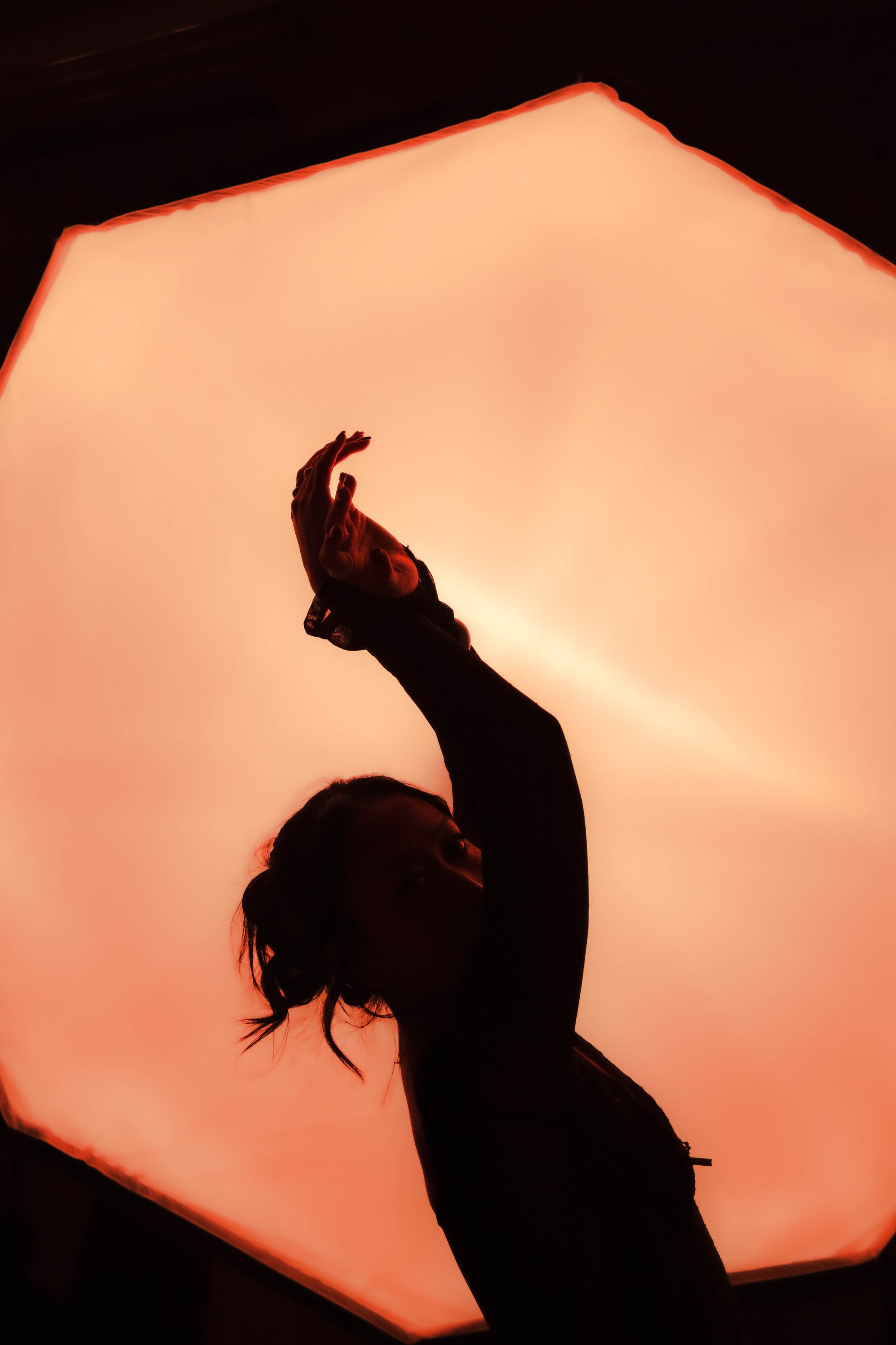 DSCF0728.jpg