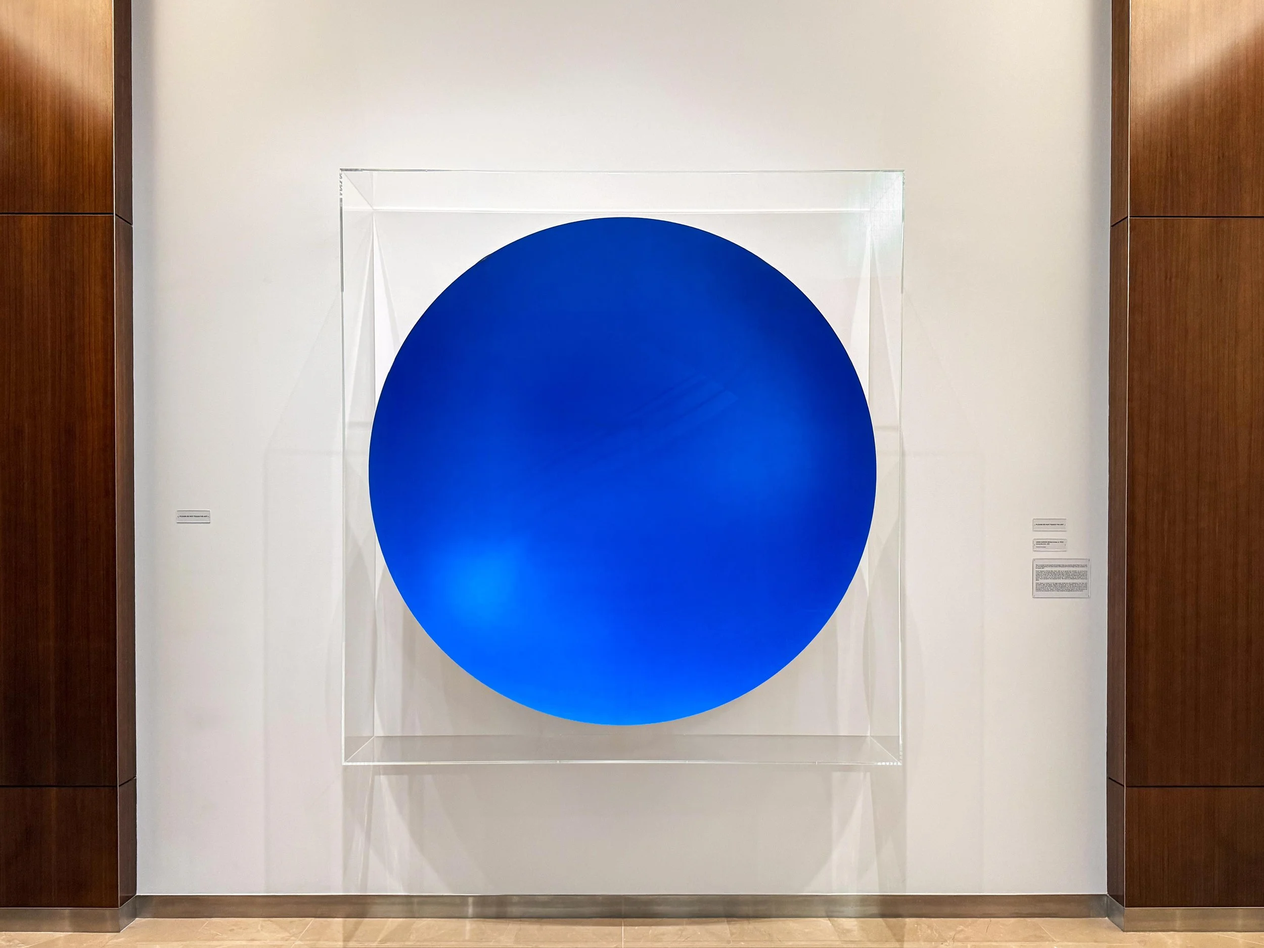 Optium museum acrylic wall case display with custom white painted backer for an Anish Kapoor art installation at the Dallas Cowboy's AT&T Stadium.