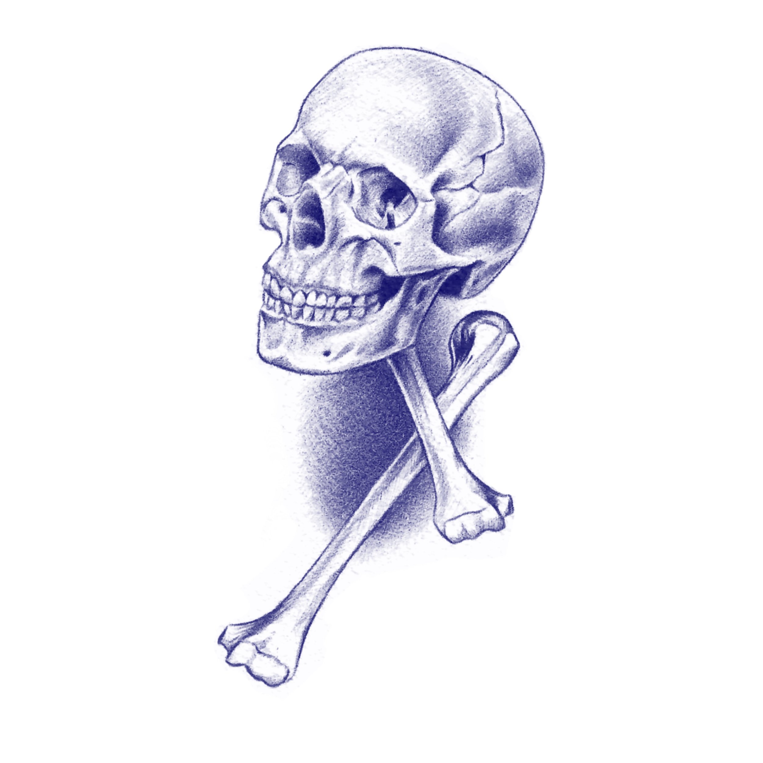 Skull with Femurs; Repeatable: $300