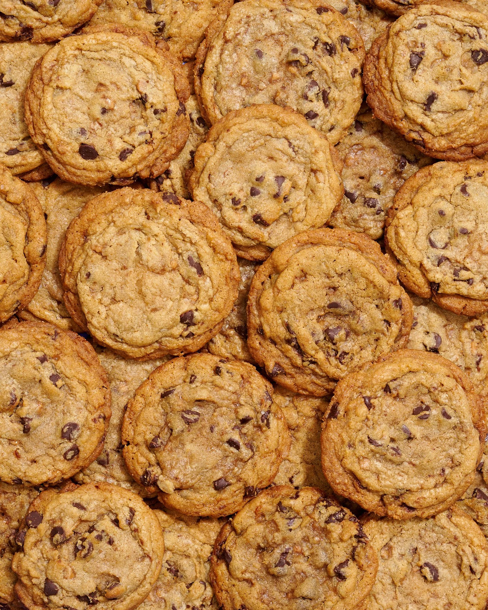 local Vancouver chocolate chip cookies