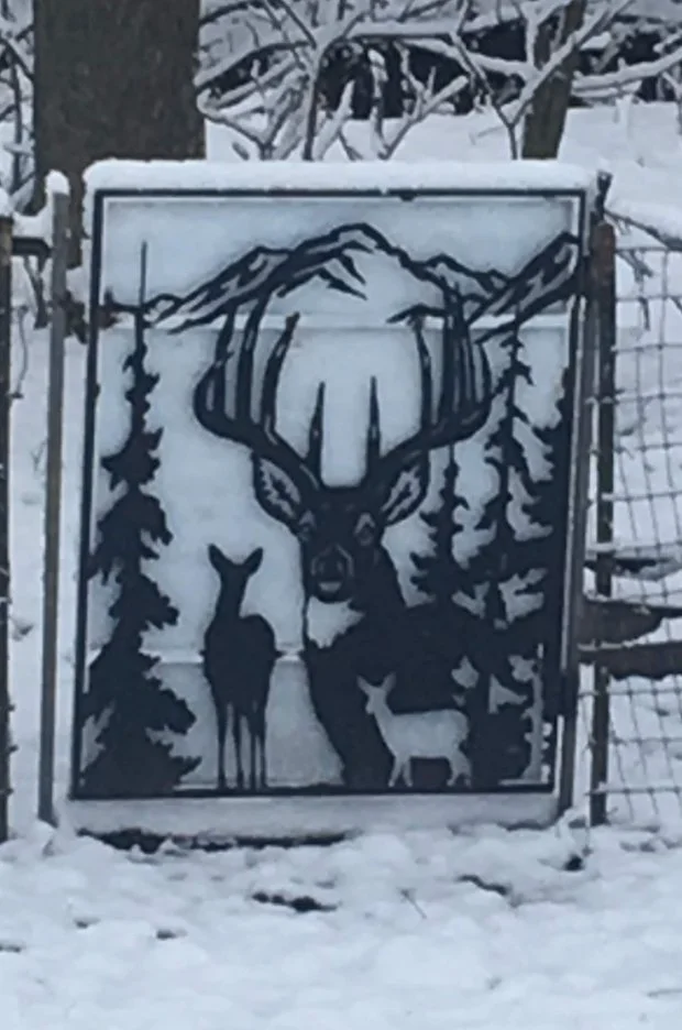 Custom Gate with Back Panel