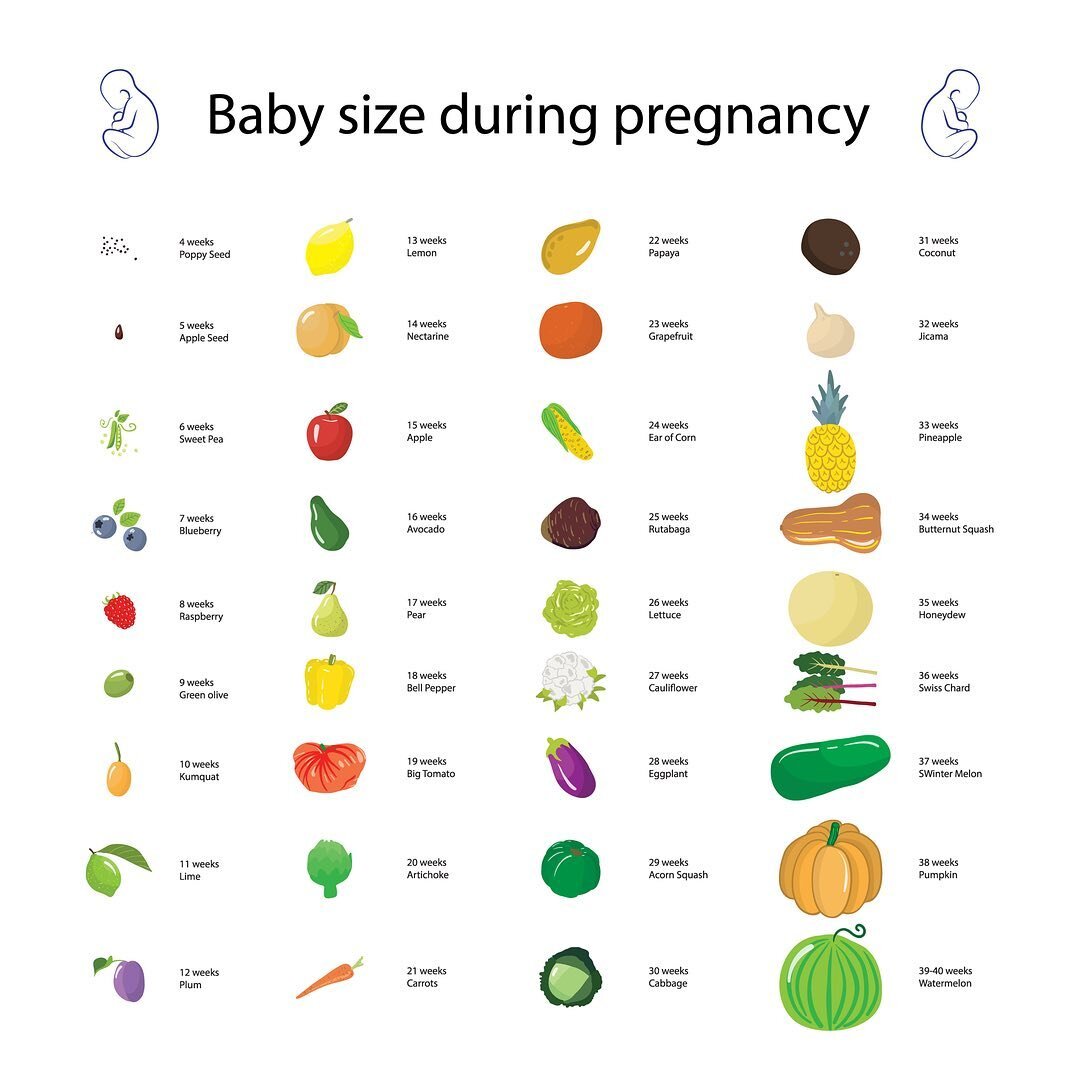 Your baby is the size of a ......

Have you ever wondered why we compare babies and fetuses to food? 

Many popular pregnancy apps compare them to comestibles. At week six, you&rsquo;ll be informed that your baby is the size of a sweet pea, growing q
