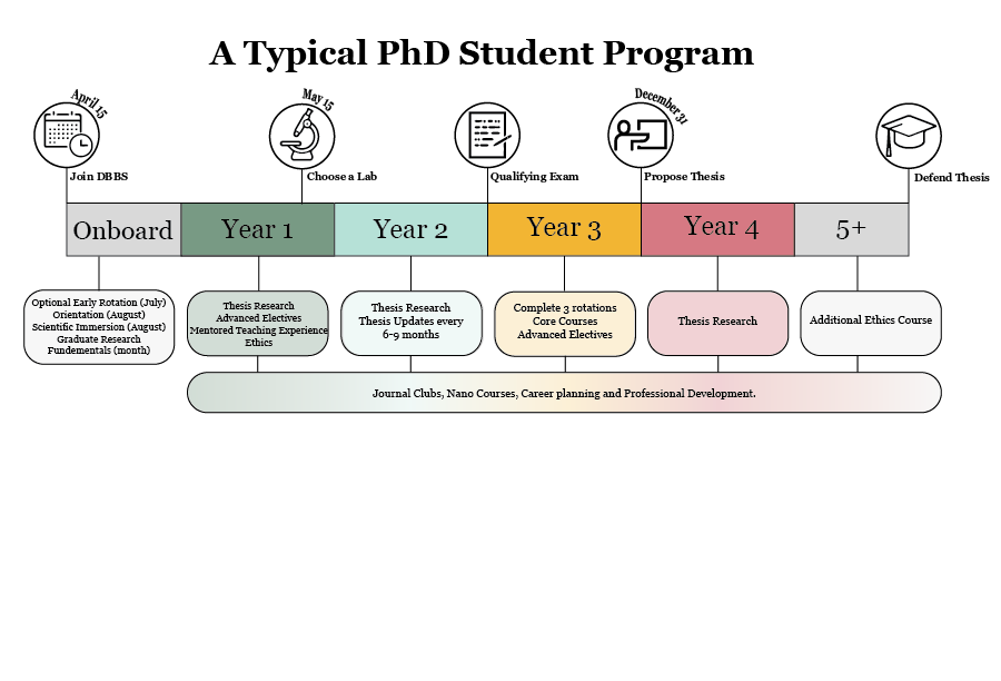 Website Infographic Design