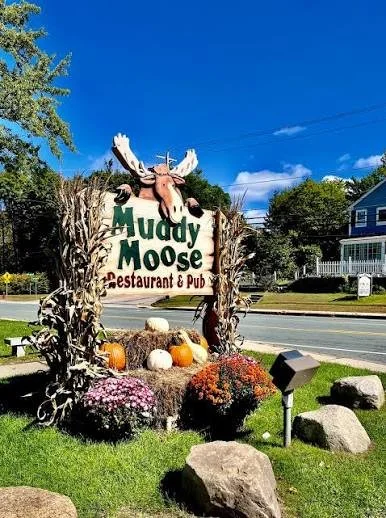 muddy moose.jpeg