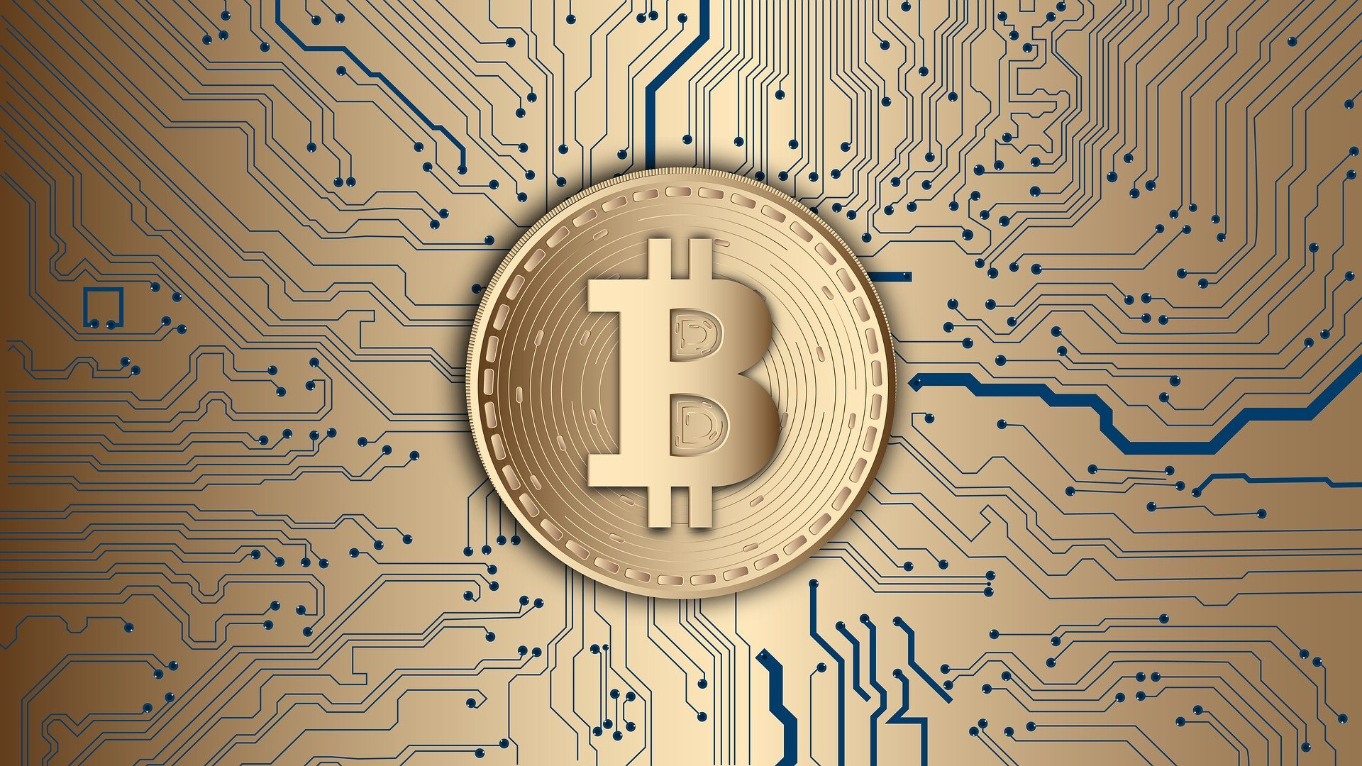 Bitcoin - What history can teach us about its future potential
