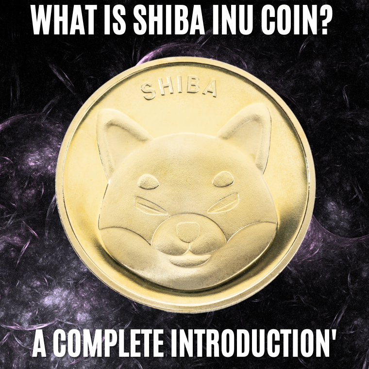 What-is-Shiba-Inu-Image