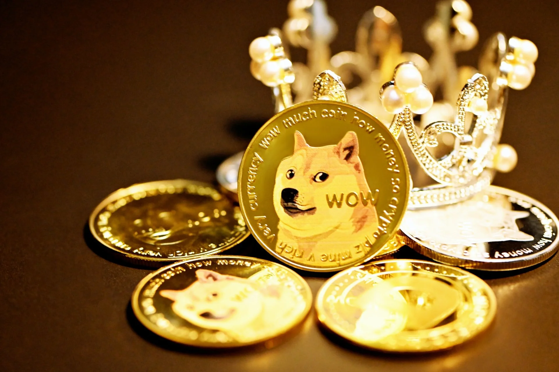 Picture-of-a-shiba-Inu-coin
