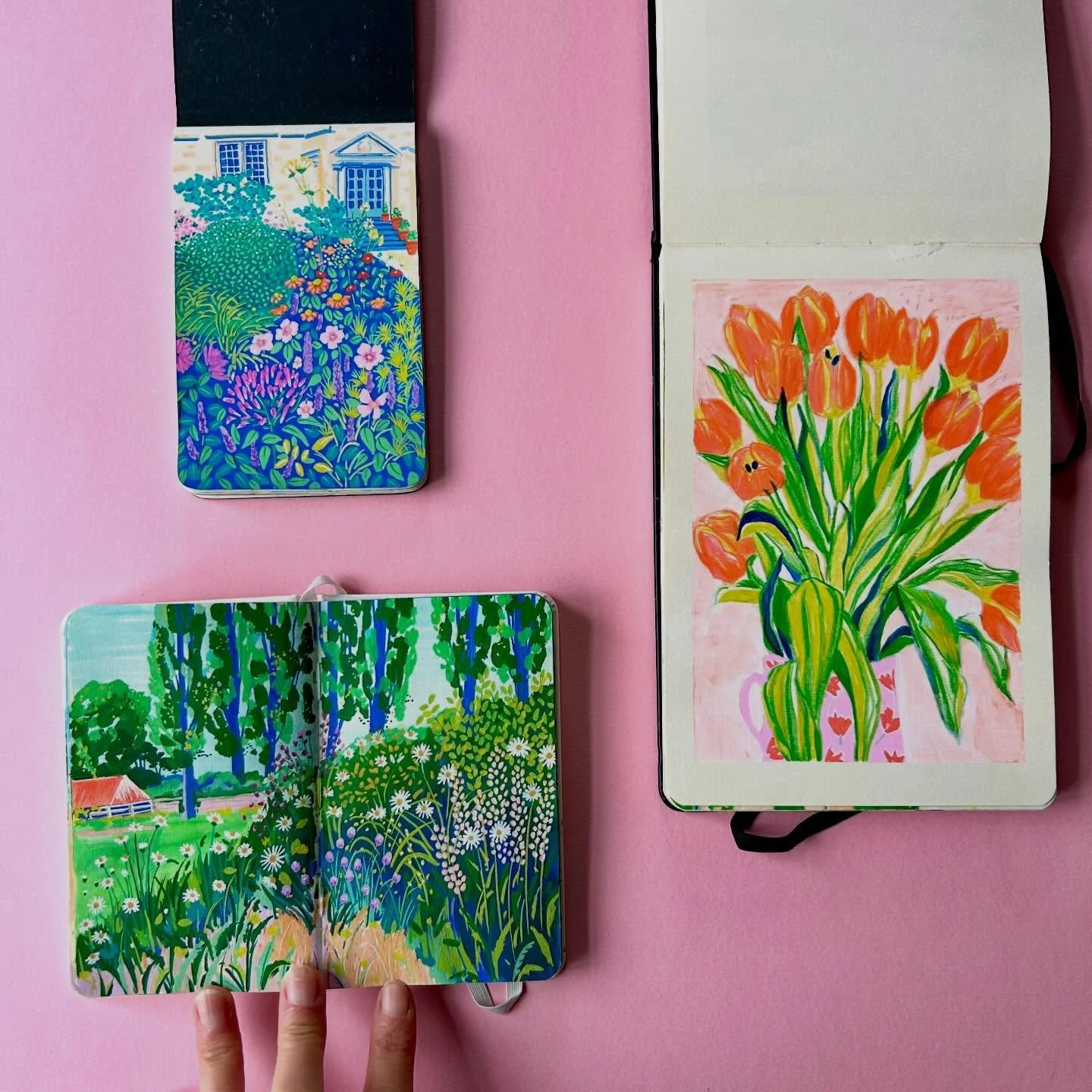 Some more sketchbook spreads. 
Flowers in Newark Park
A case of Tulips
A Sussex Garden.
#illustration #mixedmediaart #creative #poscapens #colourfulart