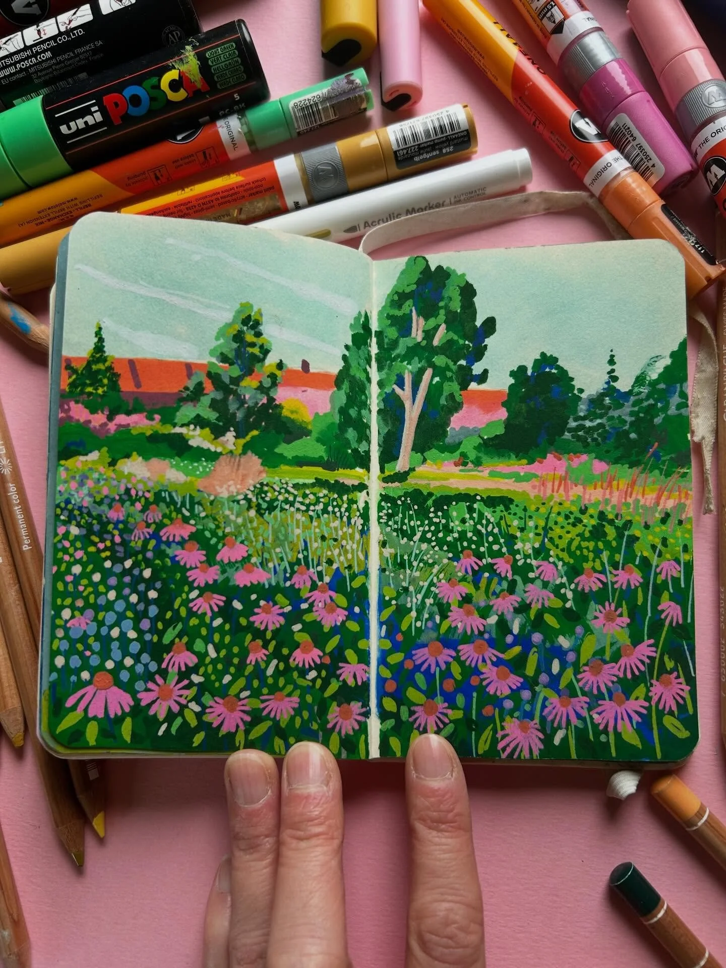 A collection of sketchbook spreads using pens and pencils to create each double spread from my @royaltalens sketchbook.Here are the pages which can all be purchased as Giclee prints.
Echinacea in Lloyd Park
Daisies 
Cornish Coastline
Cornish Valley G