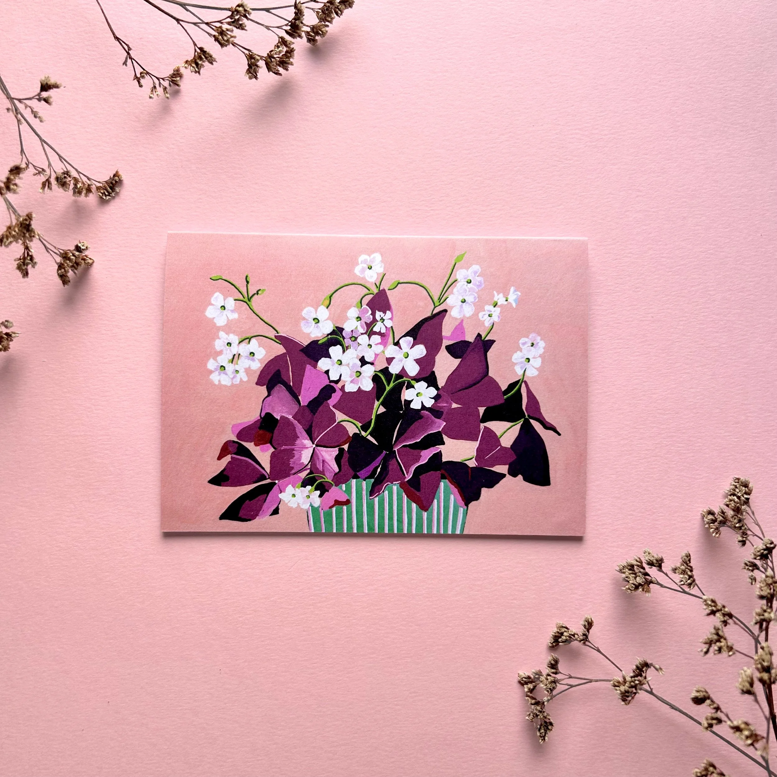 OXALIS Greeting Card