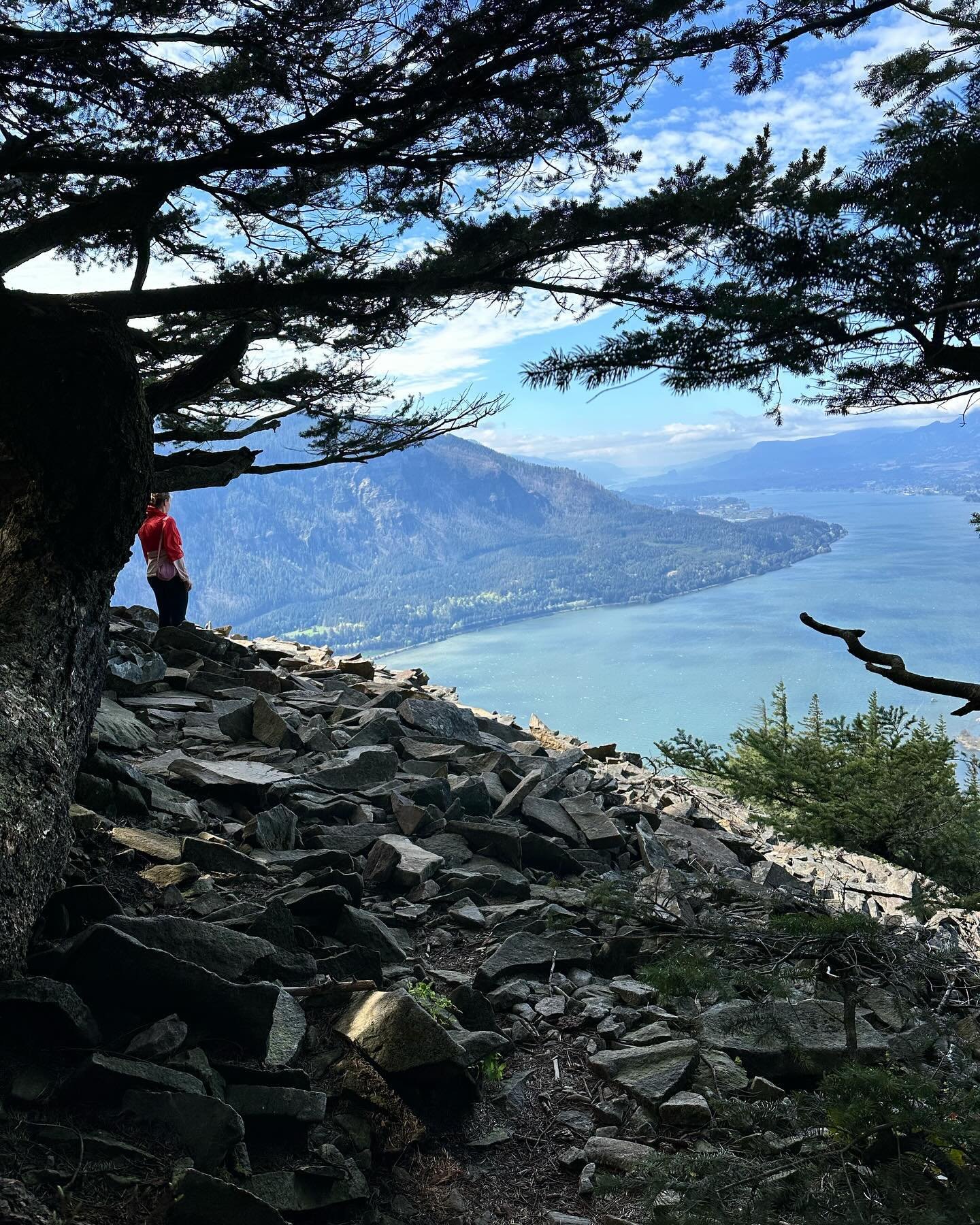 Wind Mountain lived up to its name, so windy at the top! Fab views up and down the Gorge with Mt St Helens peeking out in one pic. It&rsquo;s kind of a steep trail and definitely rocky with some talus slopes you have to trip across but still one of m