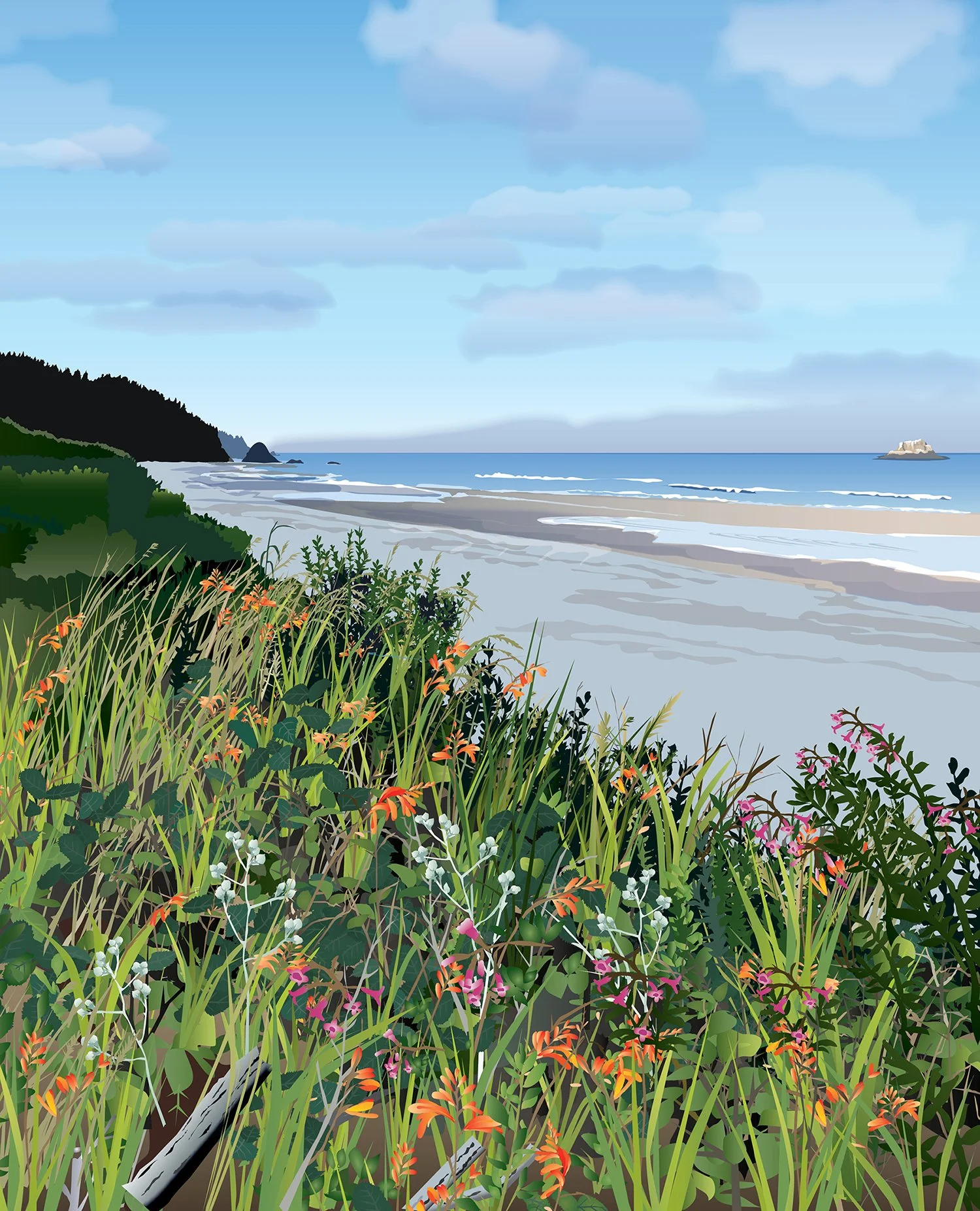 Arch Cape Flowers