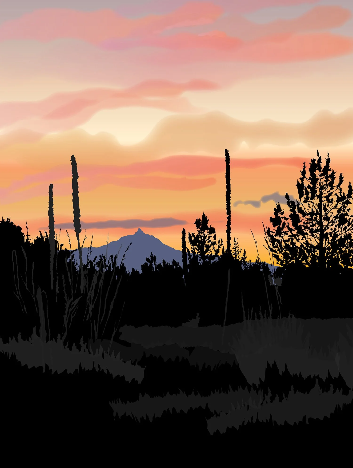 Mt Washington Sunset