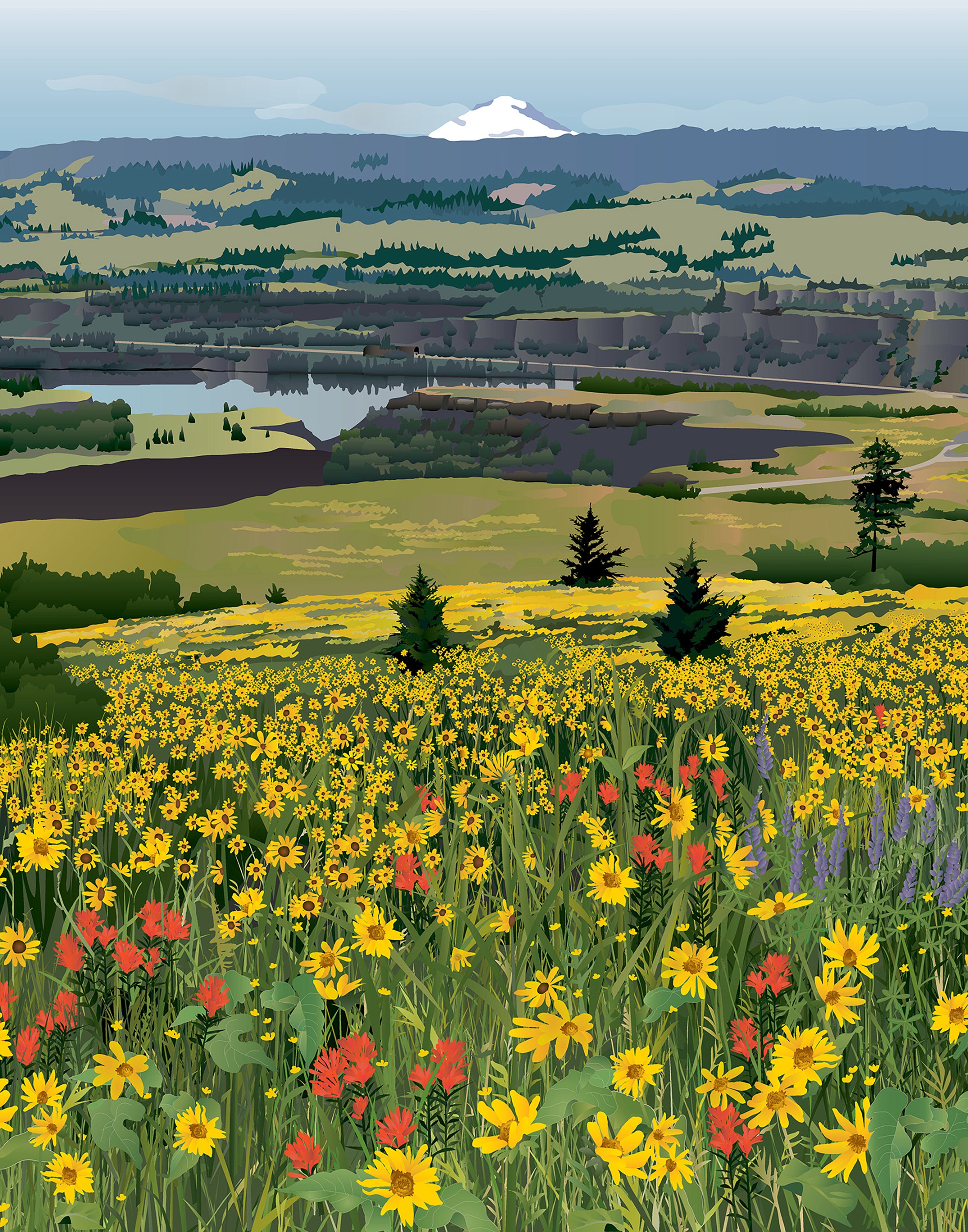 Tom MCCall8x10.jpg