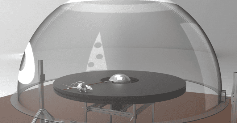 the dome — Neural Circuits for Computation, Cognition and Control