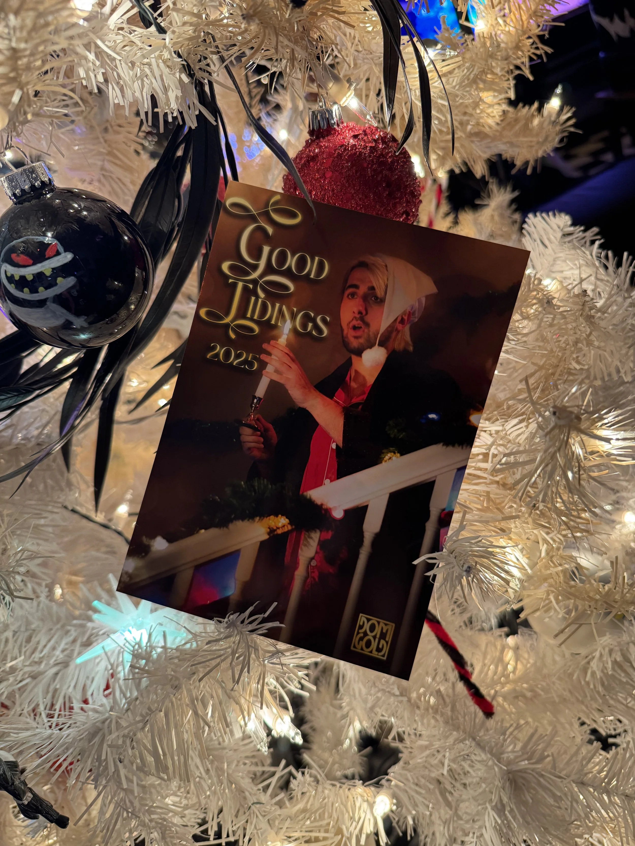 Dom Gold Christmas Holiday card 2025 Honk shoo mimimi.jpg