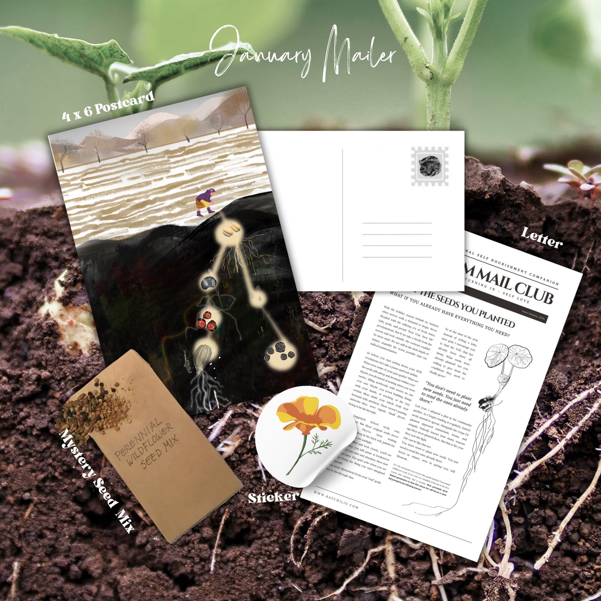 January 2026 Blossom Mail Club Issue