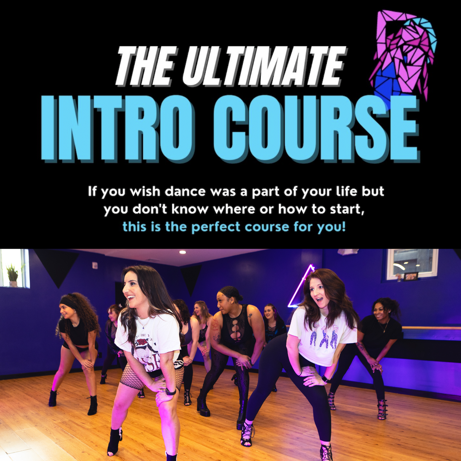 The Ultimate Intro Course